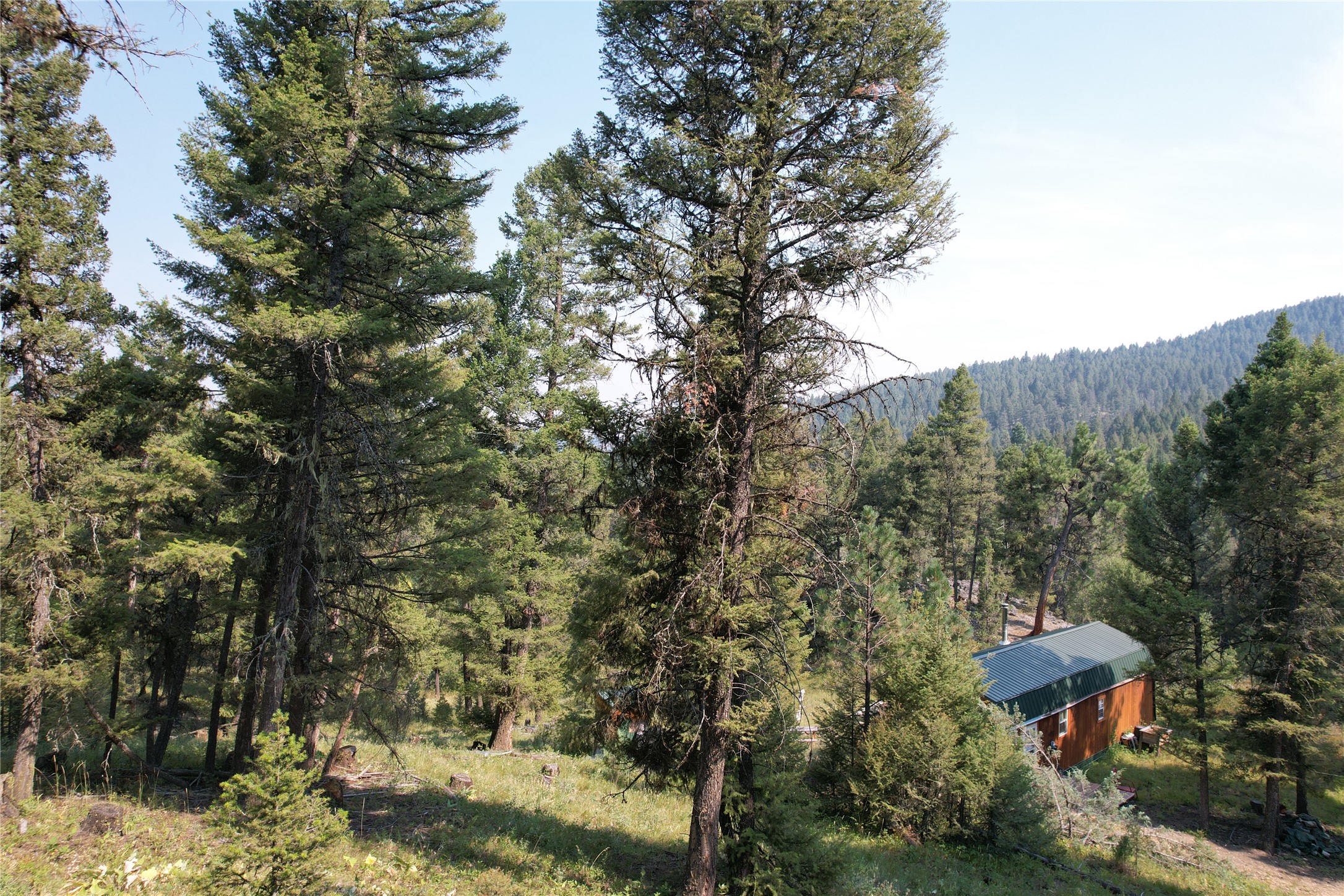 50 Juniper Ridge Lane Property Photo 19