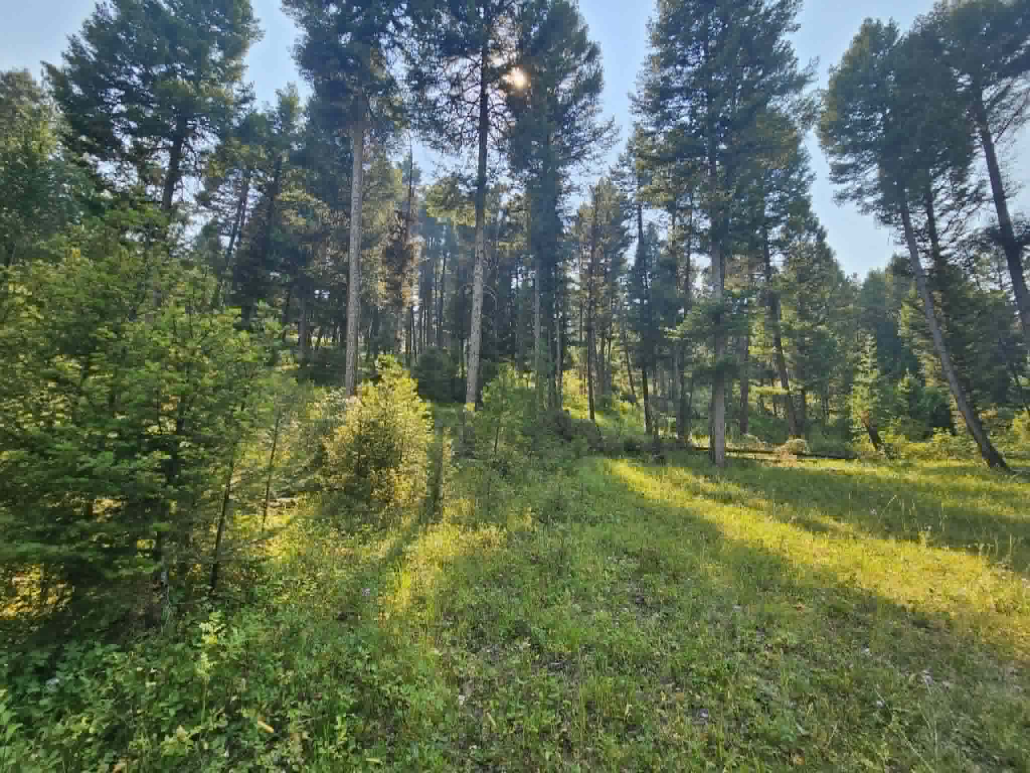 50 Juniper Ridge Lane Property Photo 26