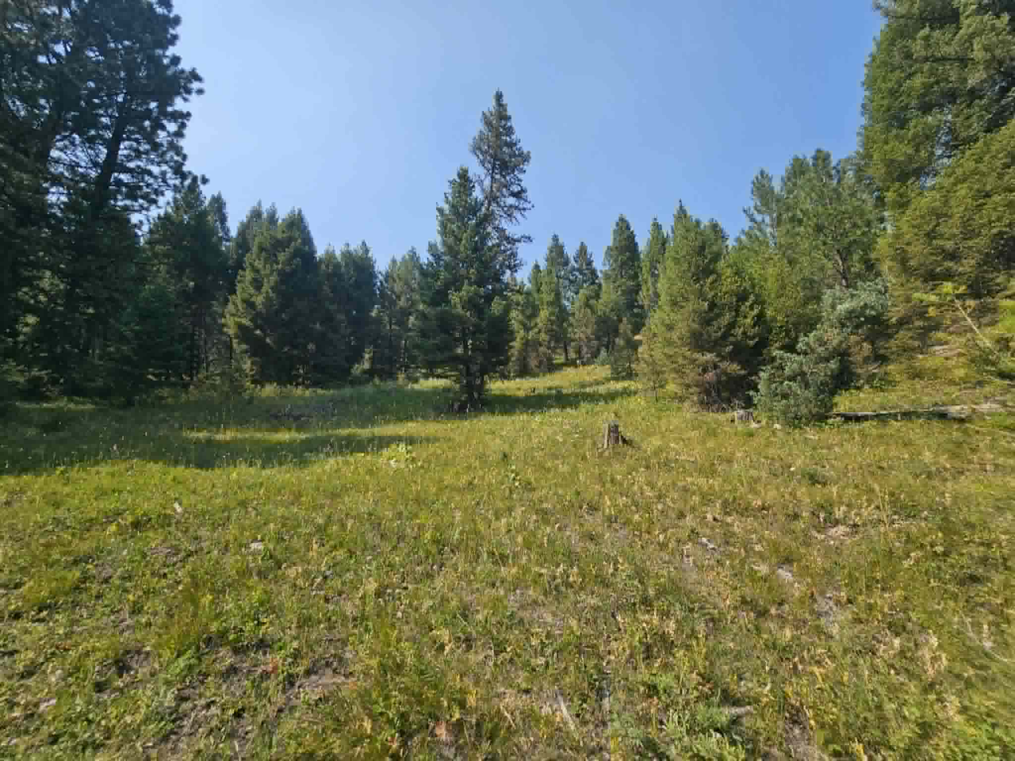 50 Juniper Ridge Lane Property Photo 27