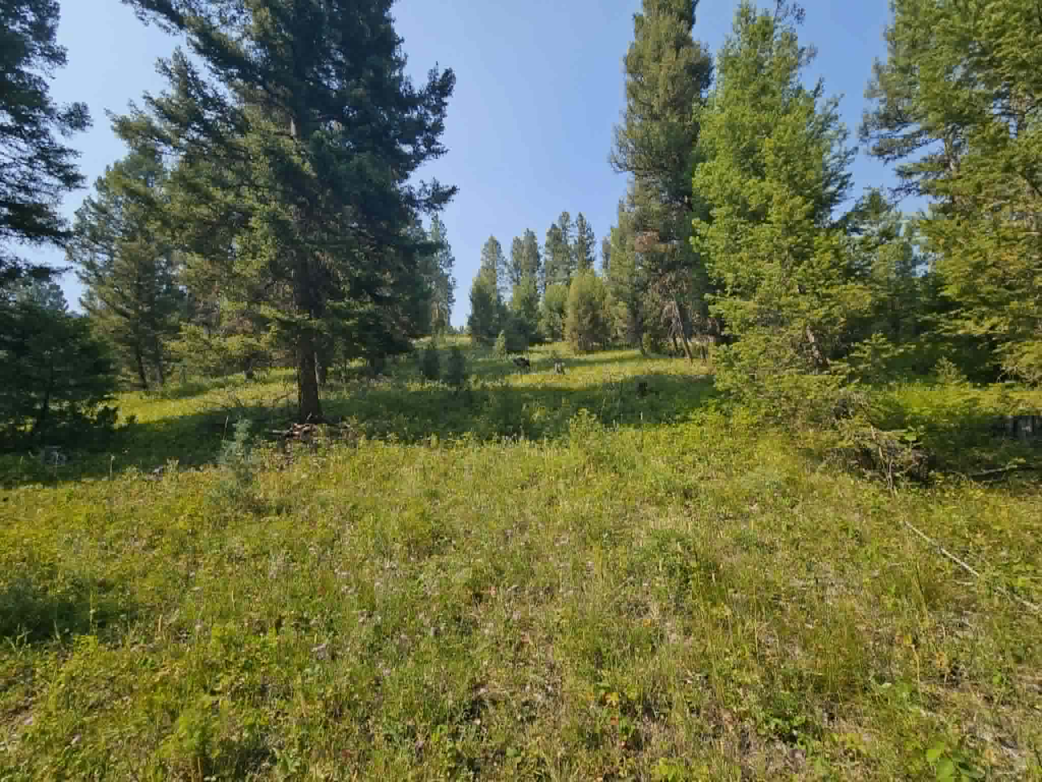 50 Juniper Ridge Lane Property Photo 29