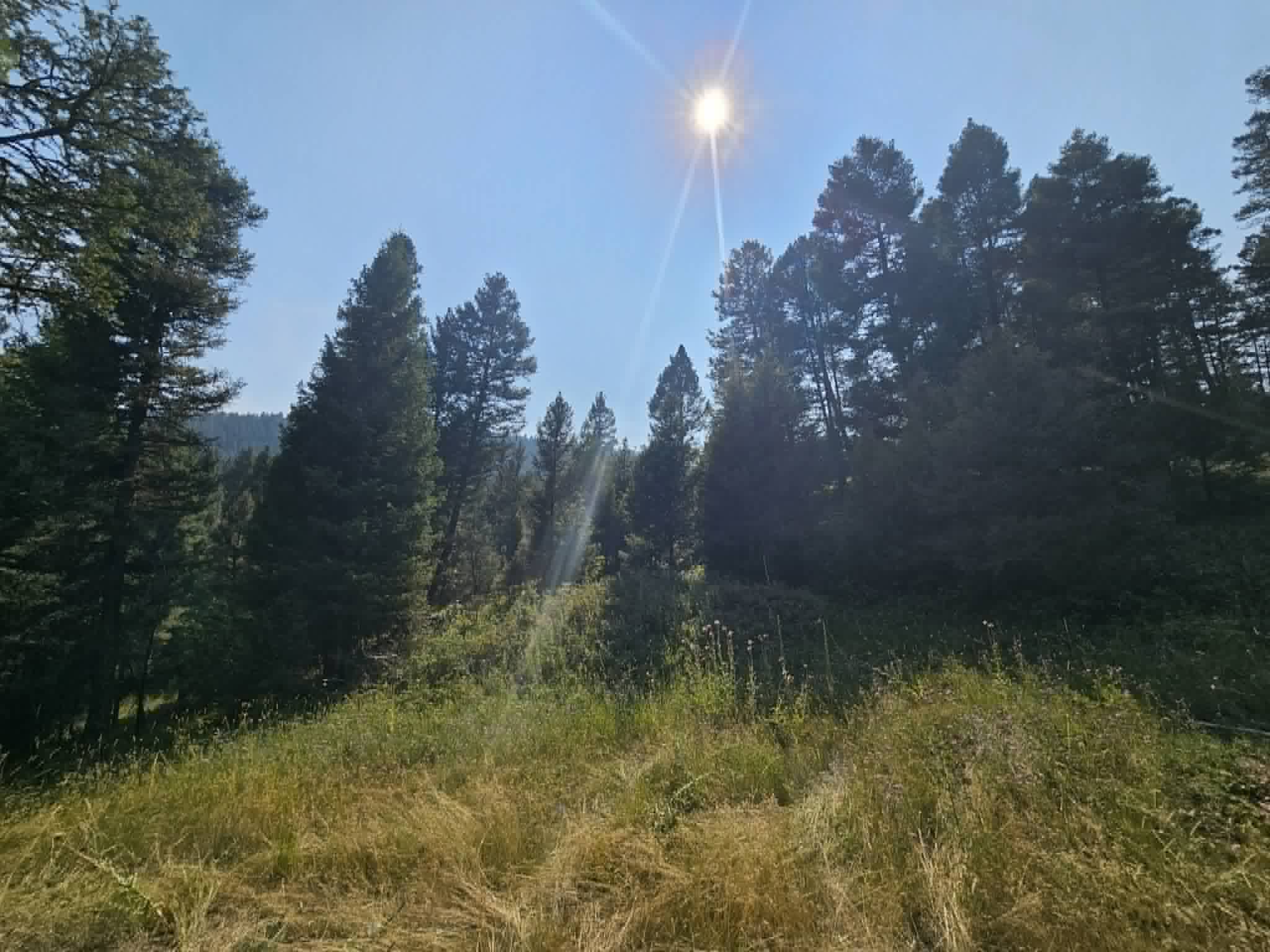 50 Juniper Ridge Lane Property Photo 30