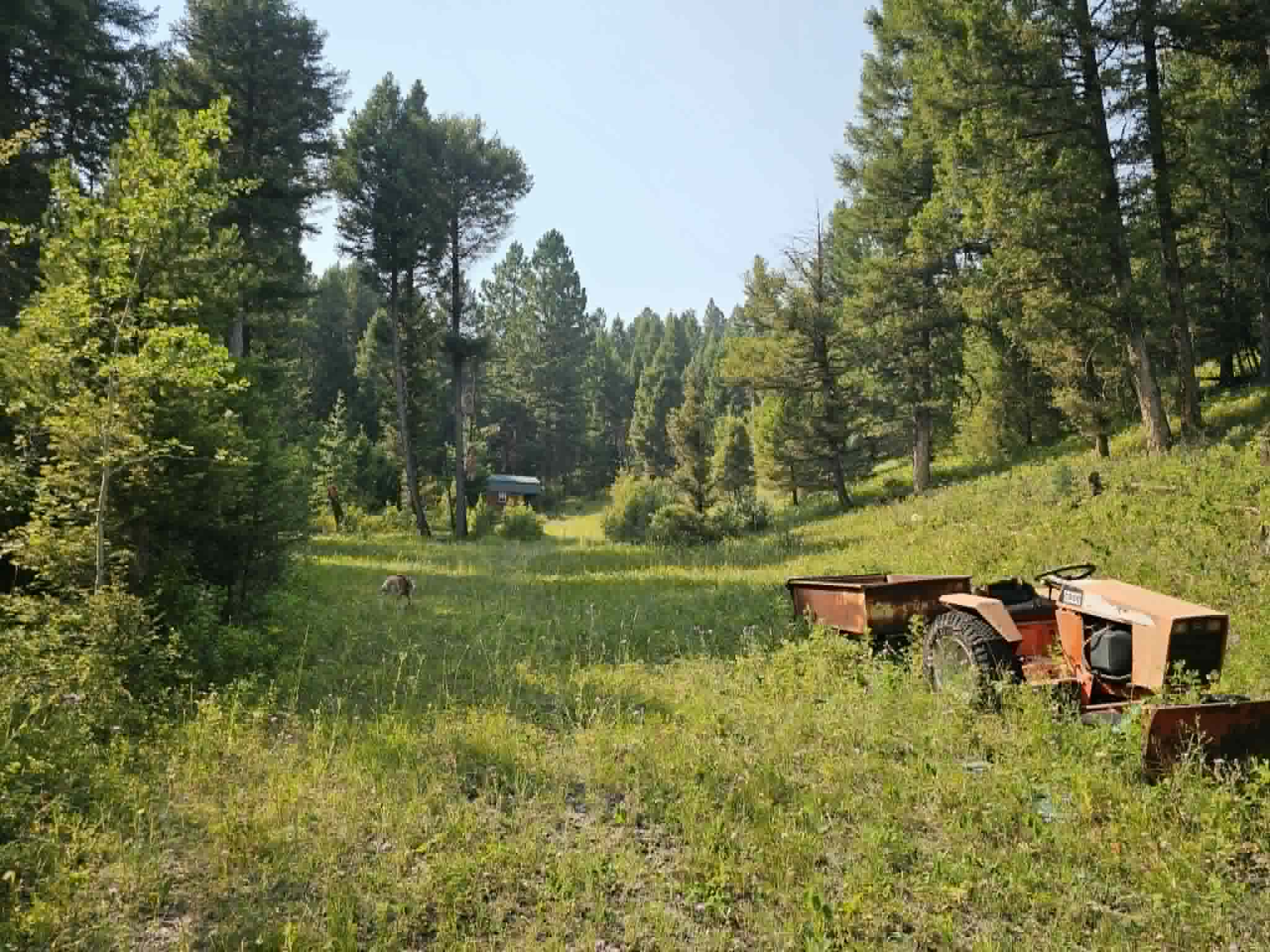 50 Juniper Ridge Lane Property Photo 32