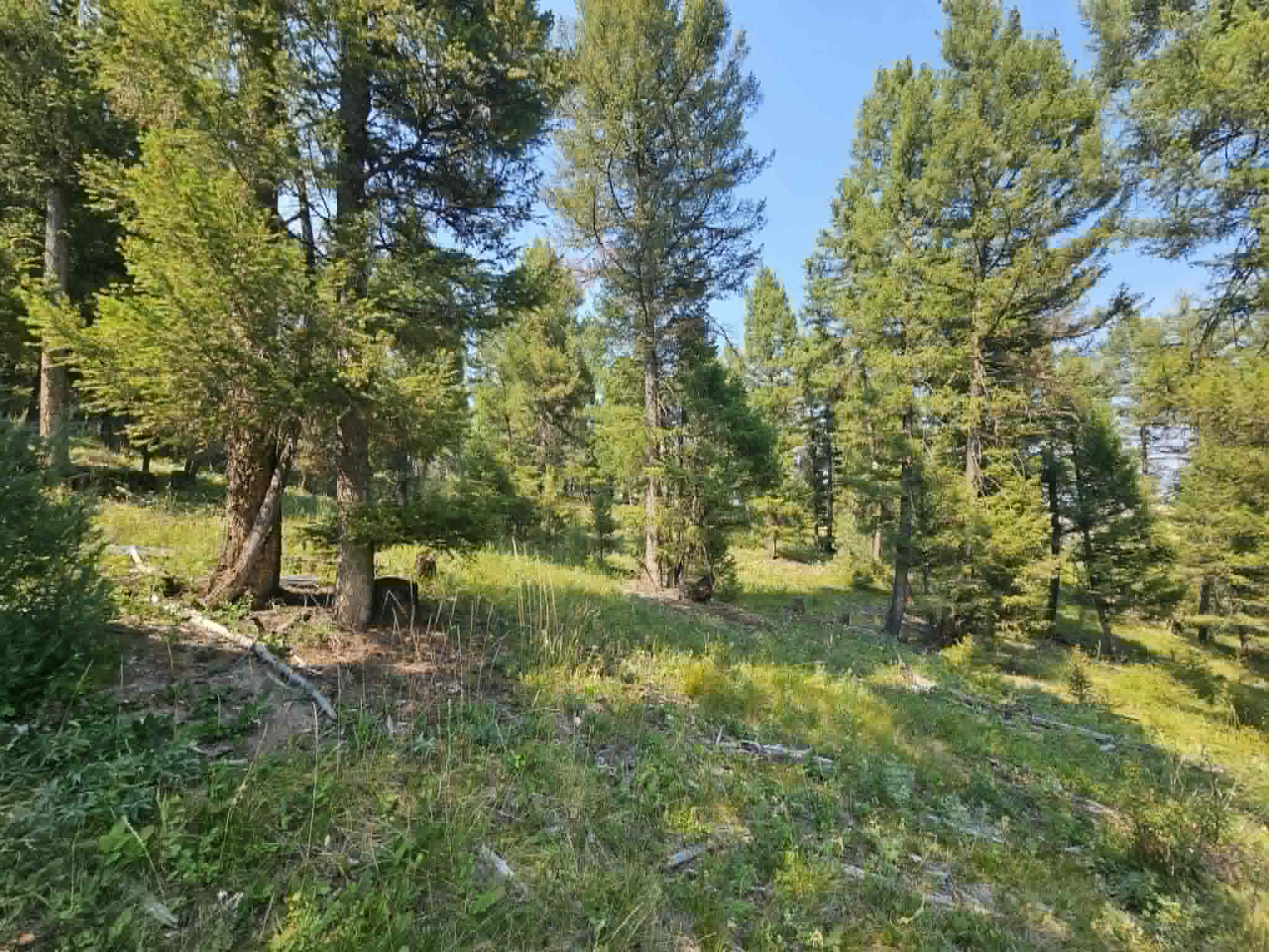 50 Juniper Ridge Lane Property Photo 37