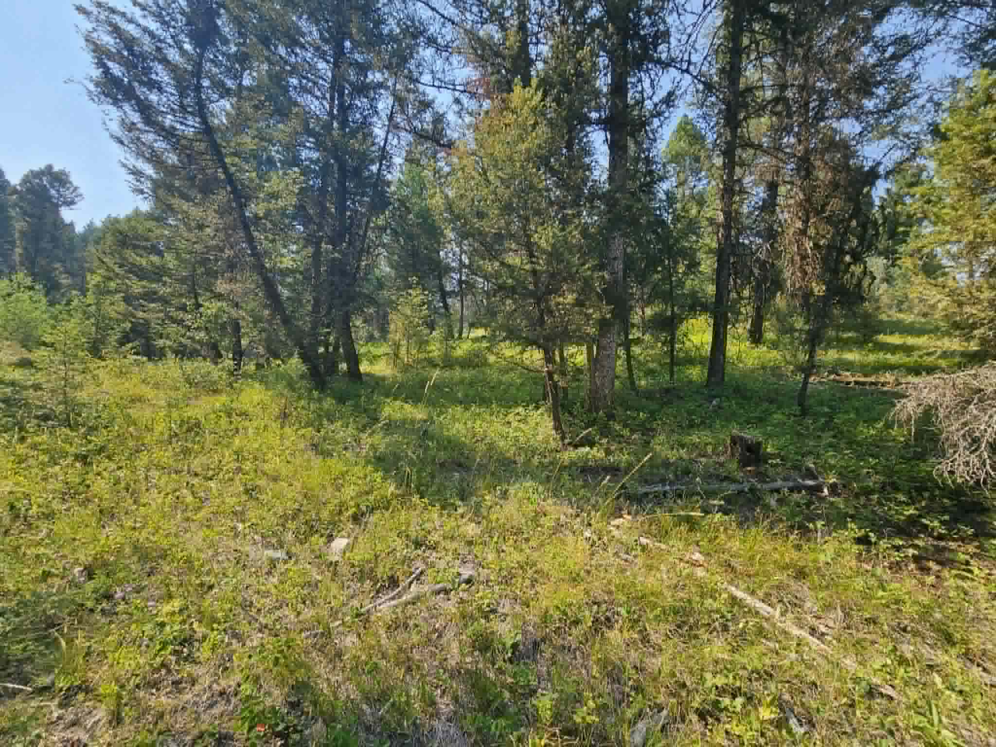 50 Juniper Ridge Lane Property Photo 38