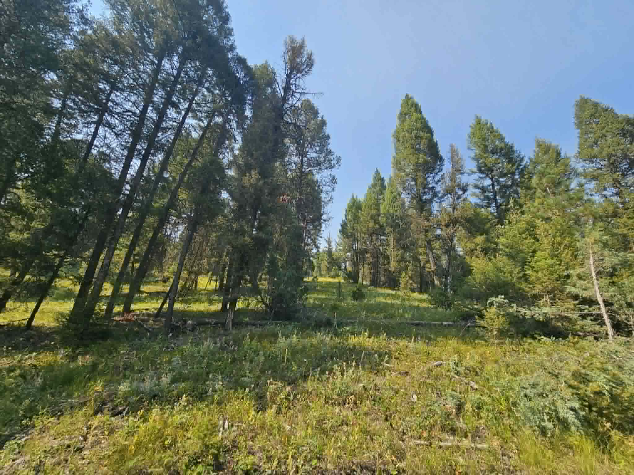 50 Juniper Ridge Lane Property Photo 39
