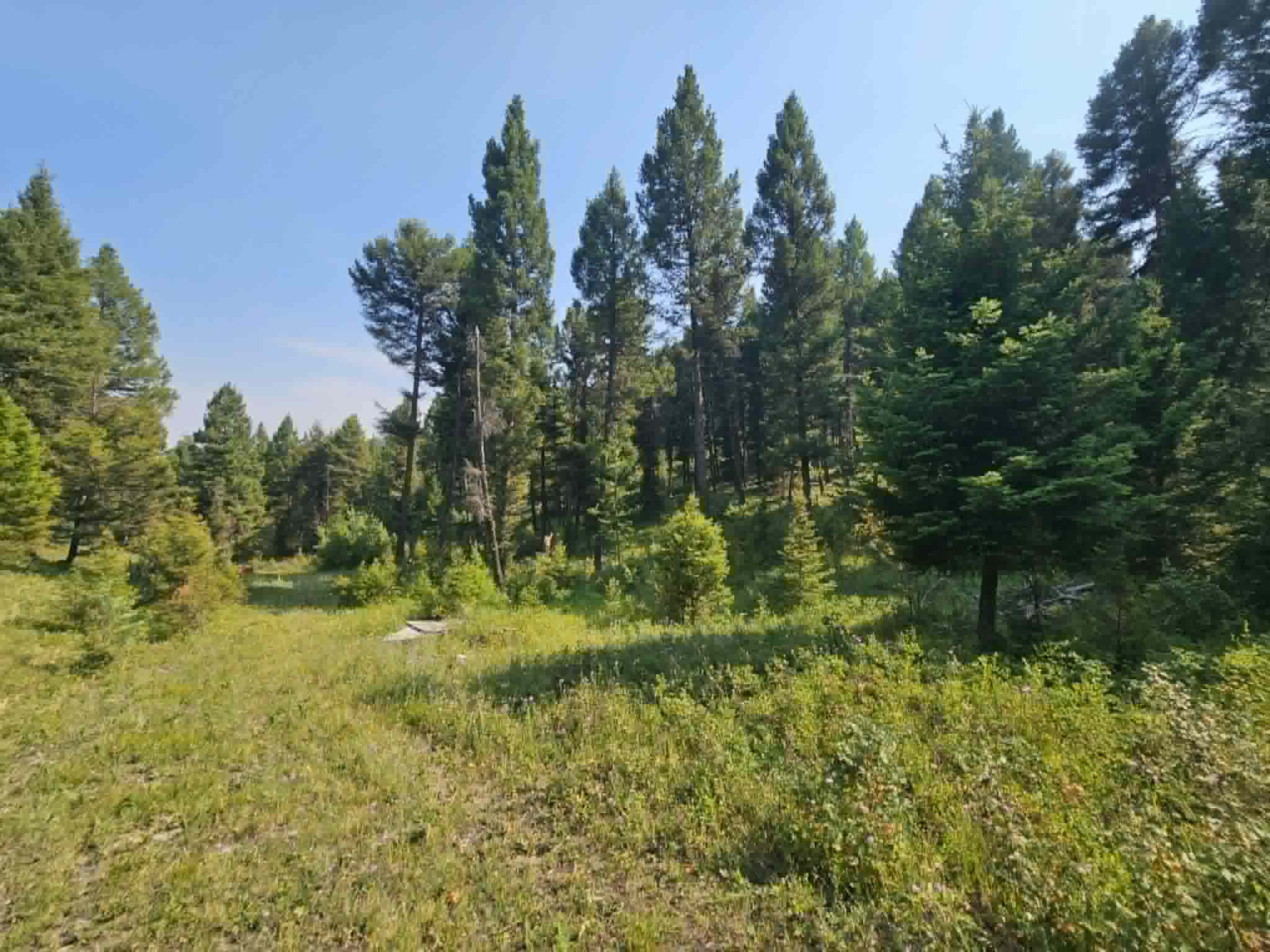 50 Juniper Ridge Lane Property Photo 41
