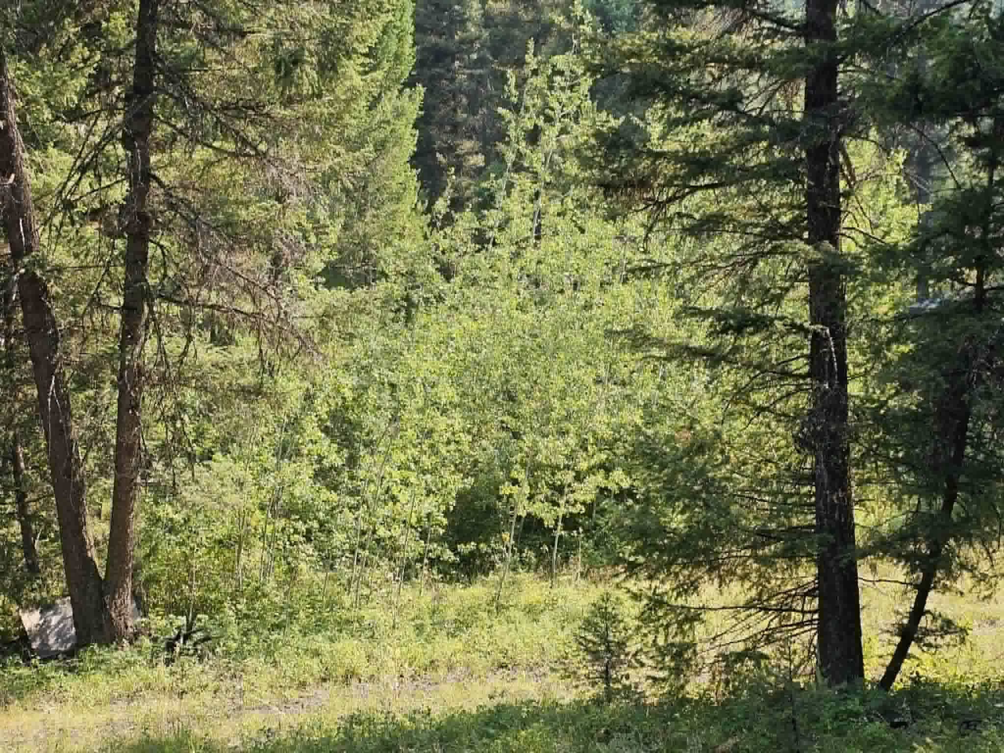 50 Juniper Ridge Lane Property Photo 42