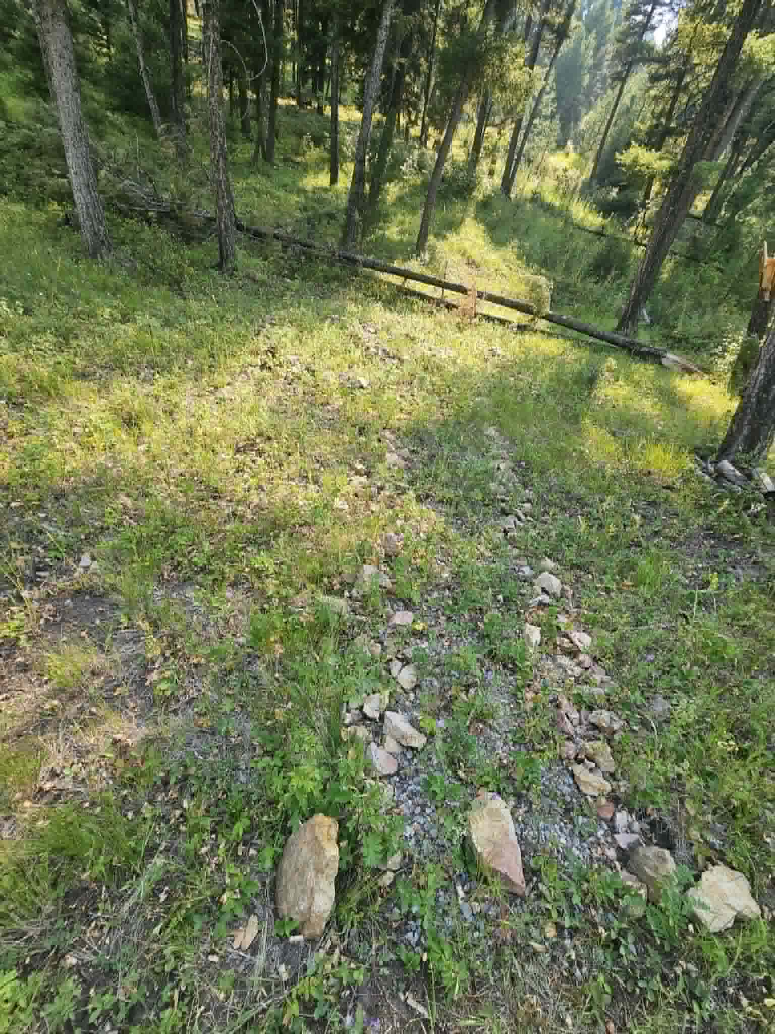50 Juniper Ridge Lane Property Photo 43
