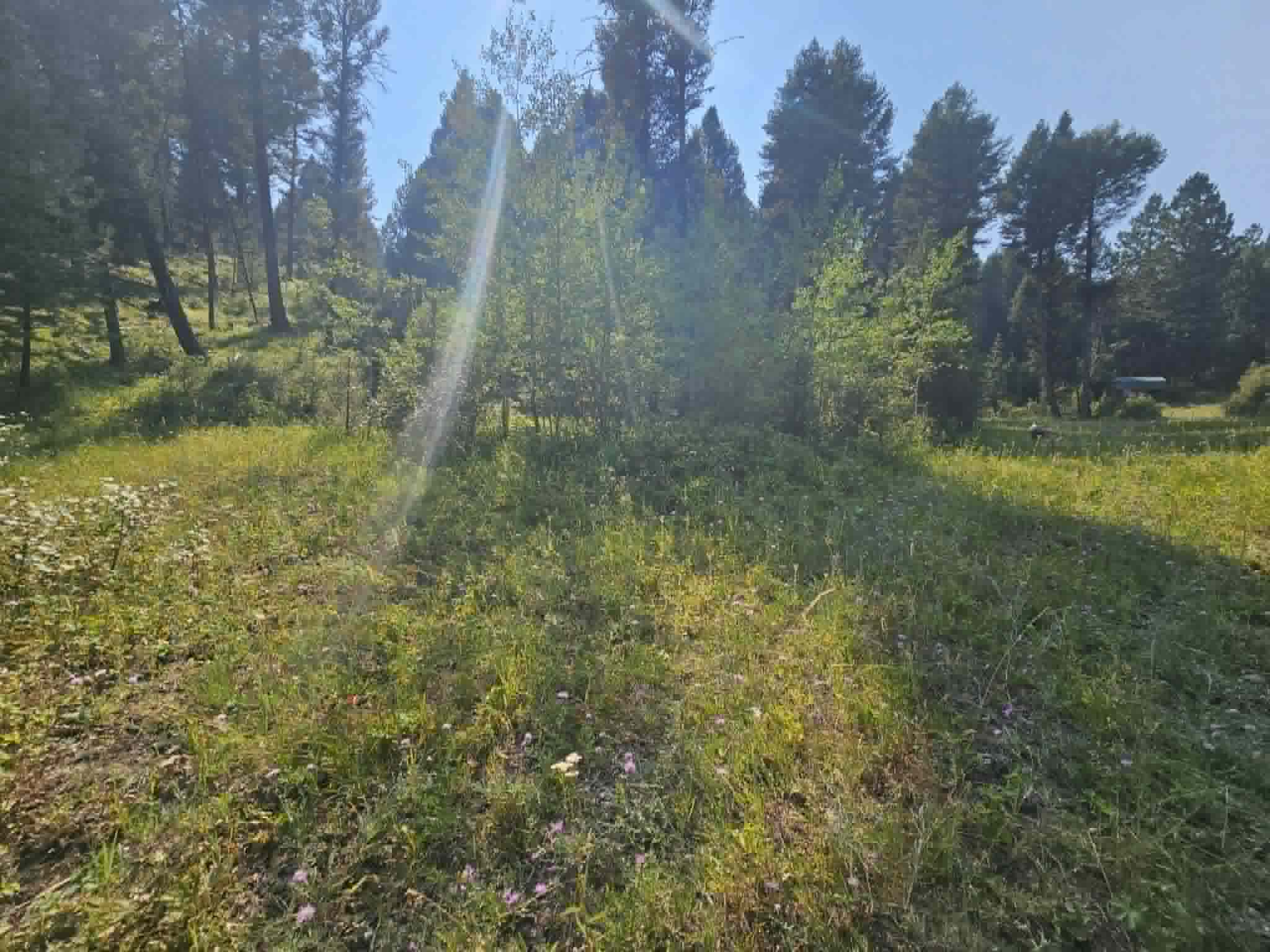 50 Juniper Ridge Lane Property Photo 55