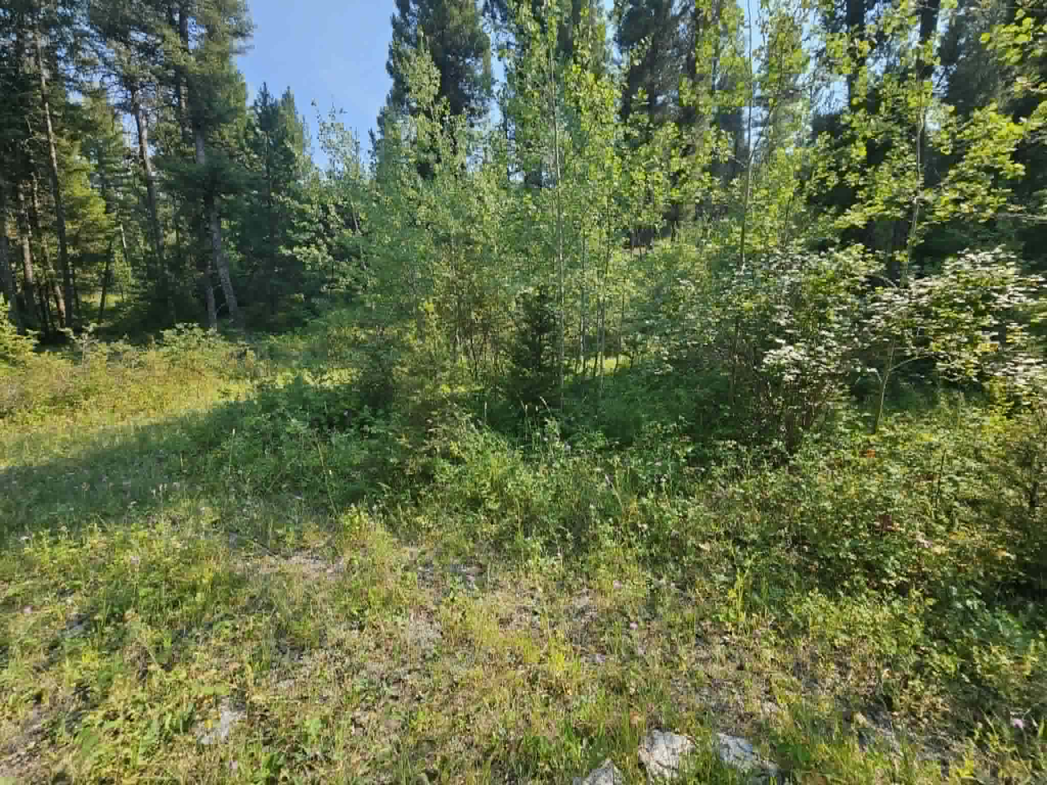 50 Juniper Ridge Lane Property Photo 59