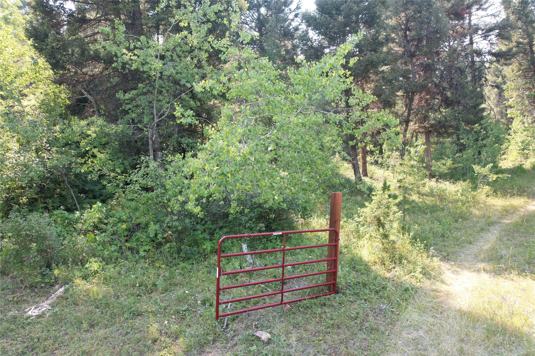 50 Juniper Ridge Lane Property Photo 60