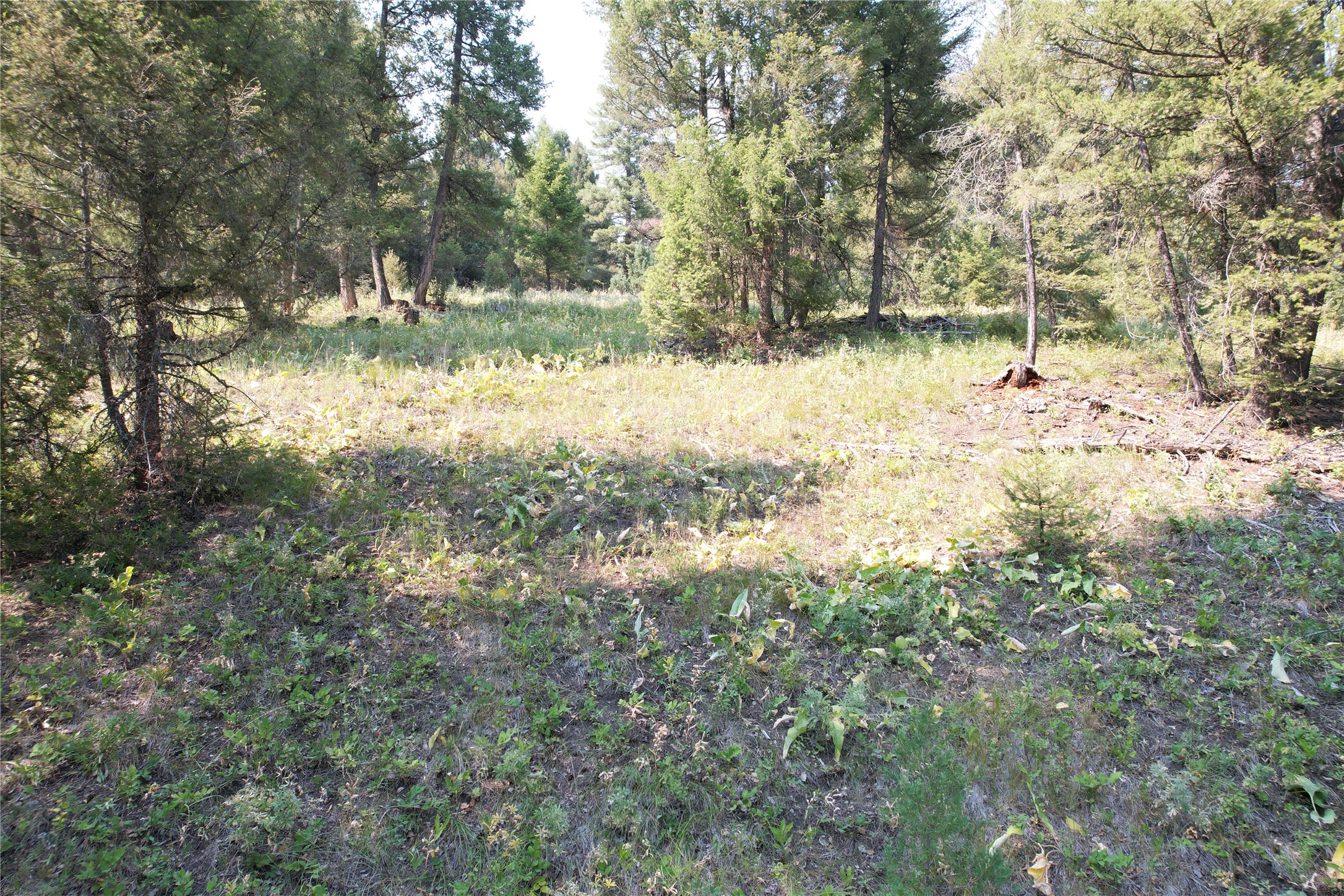 50 Juniper Ridge Lane Property Photo 67
