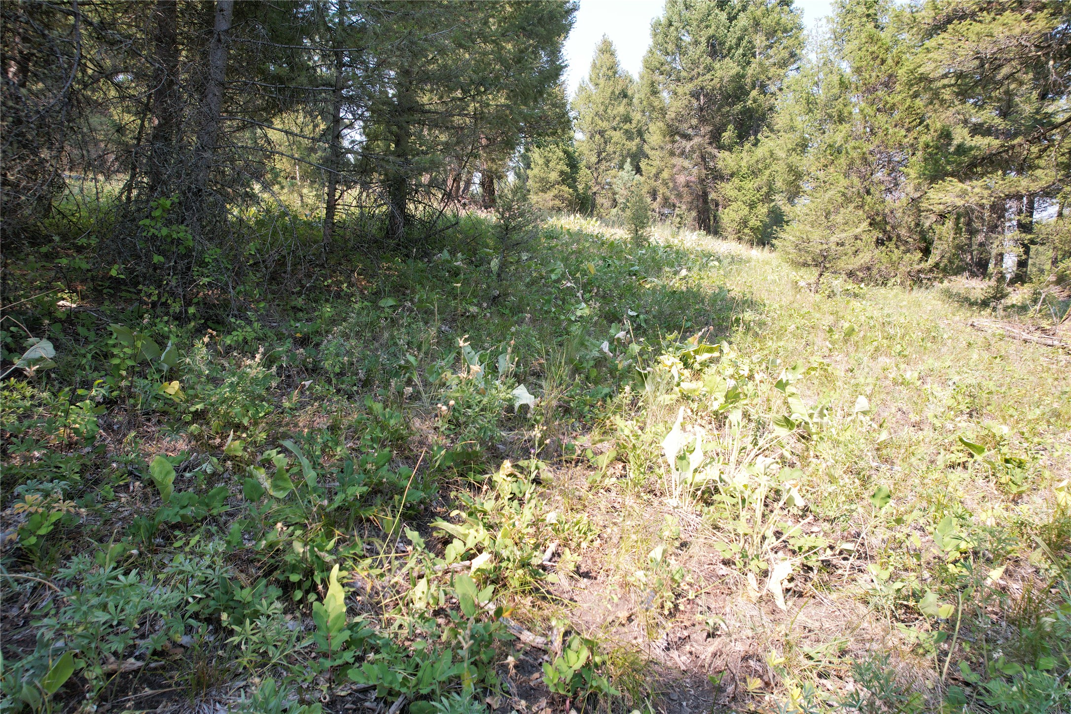 50 Juniper Ridge Lane Property Photo 71