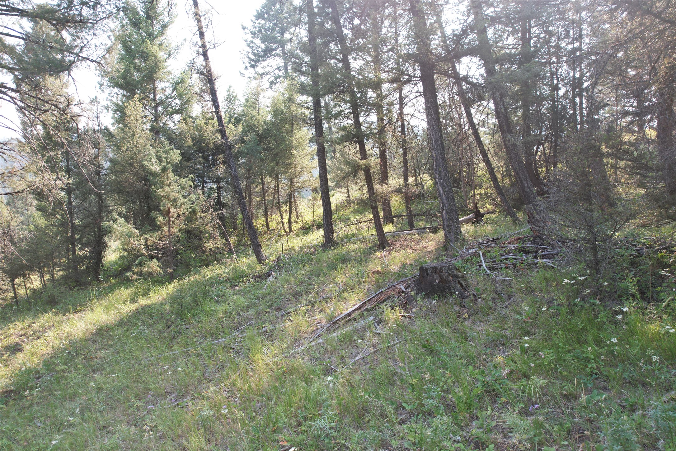 50 Juniper Ridge Lane Property Photo 73