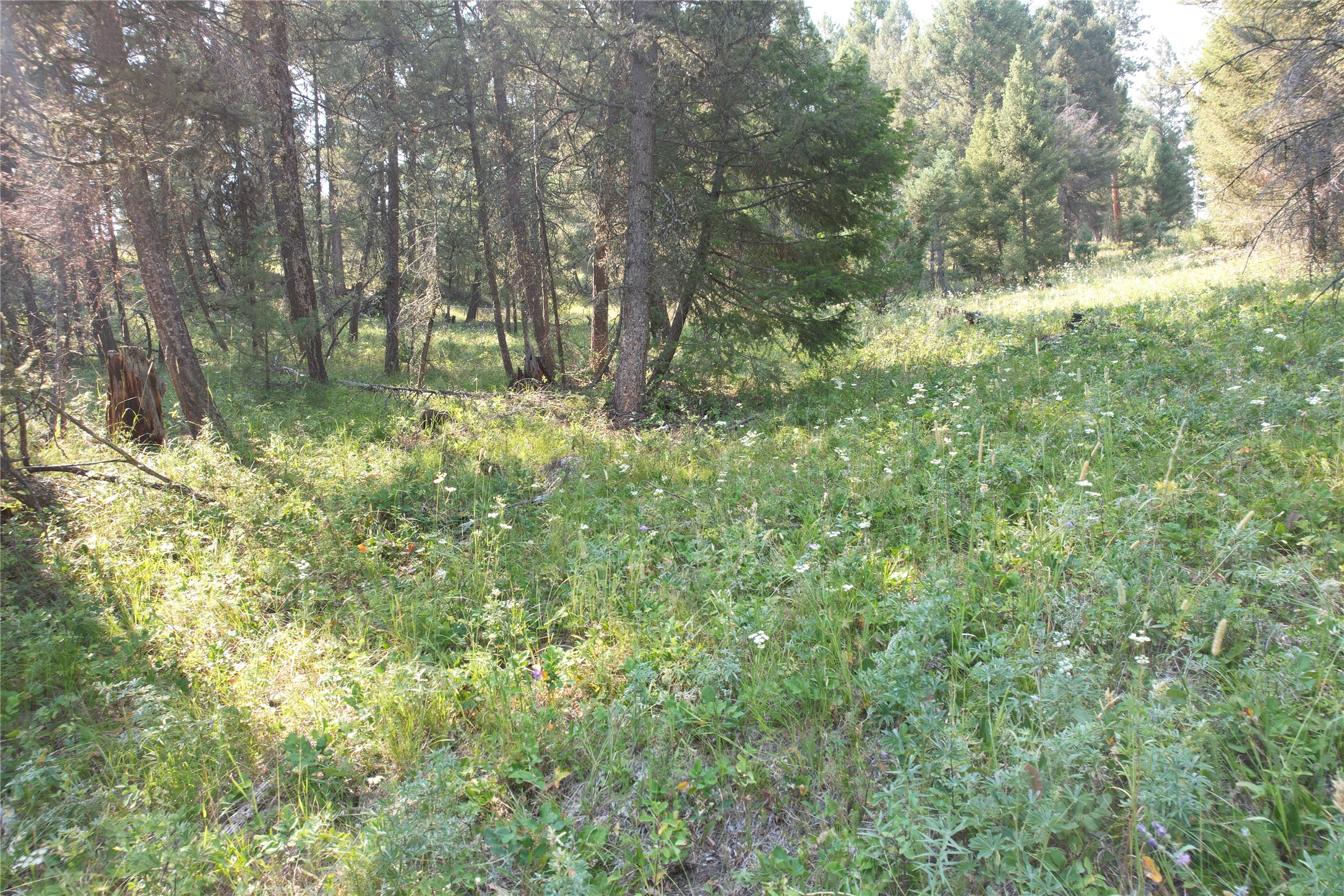 50 Juniper Ridge Lane Property Photo 74
