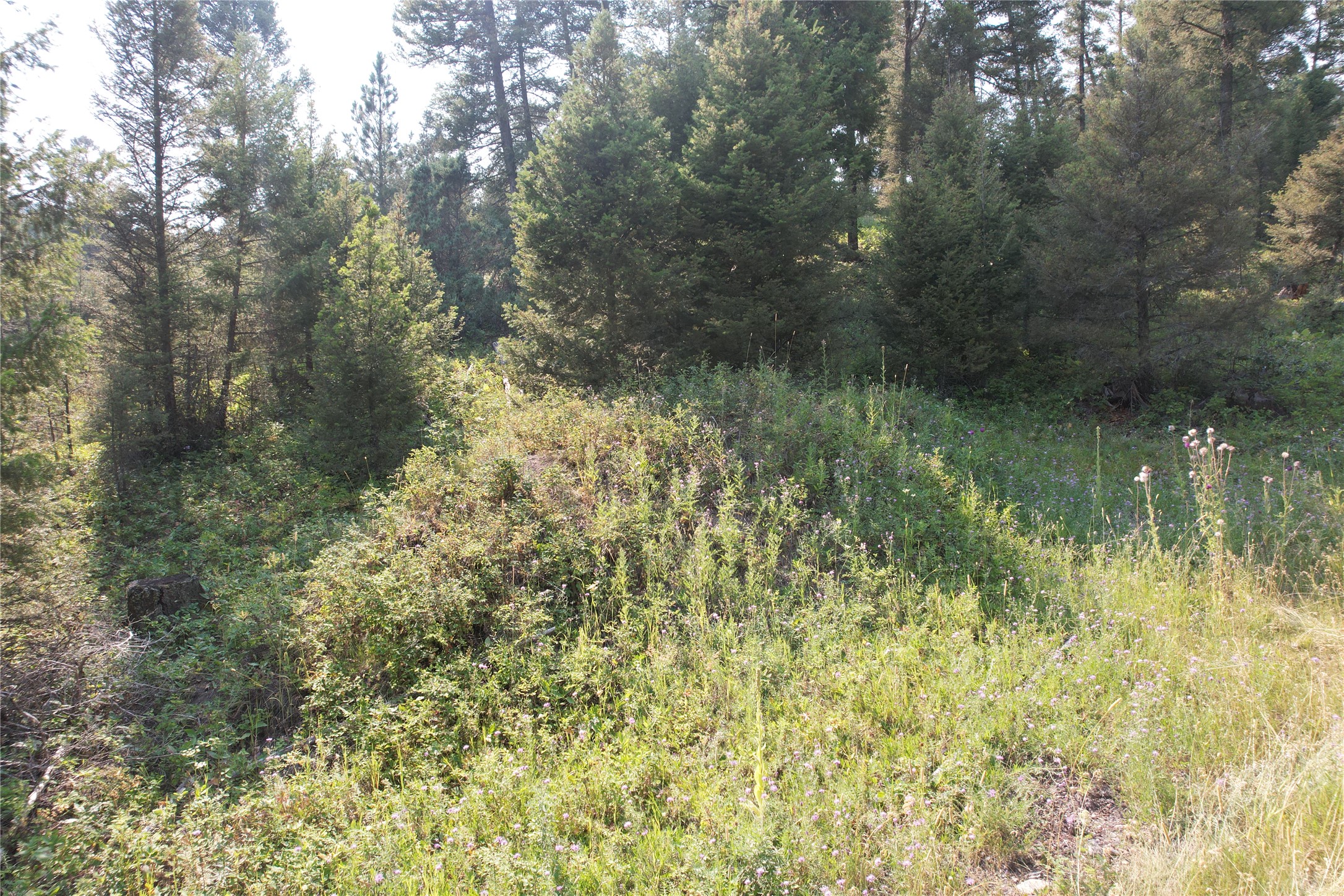 50 Juniper Ridge Lane Property Photo 75