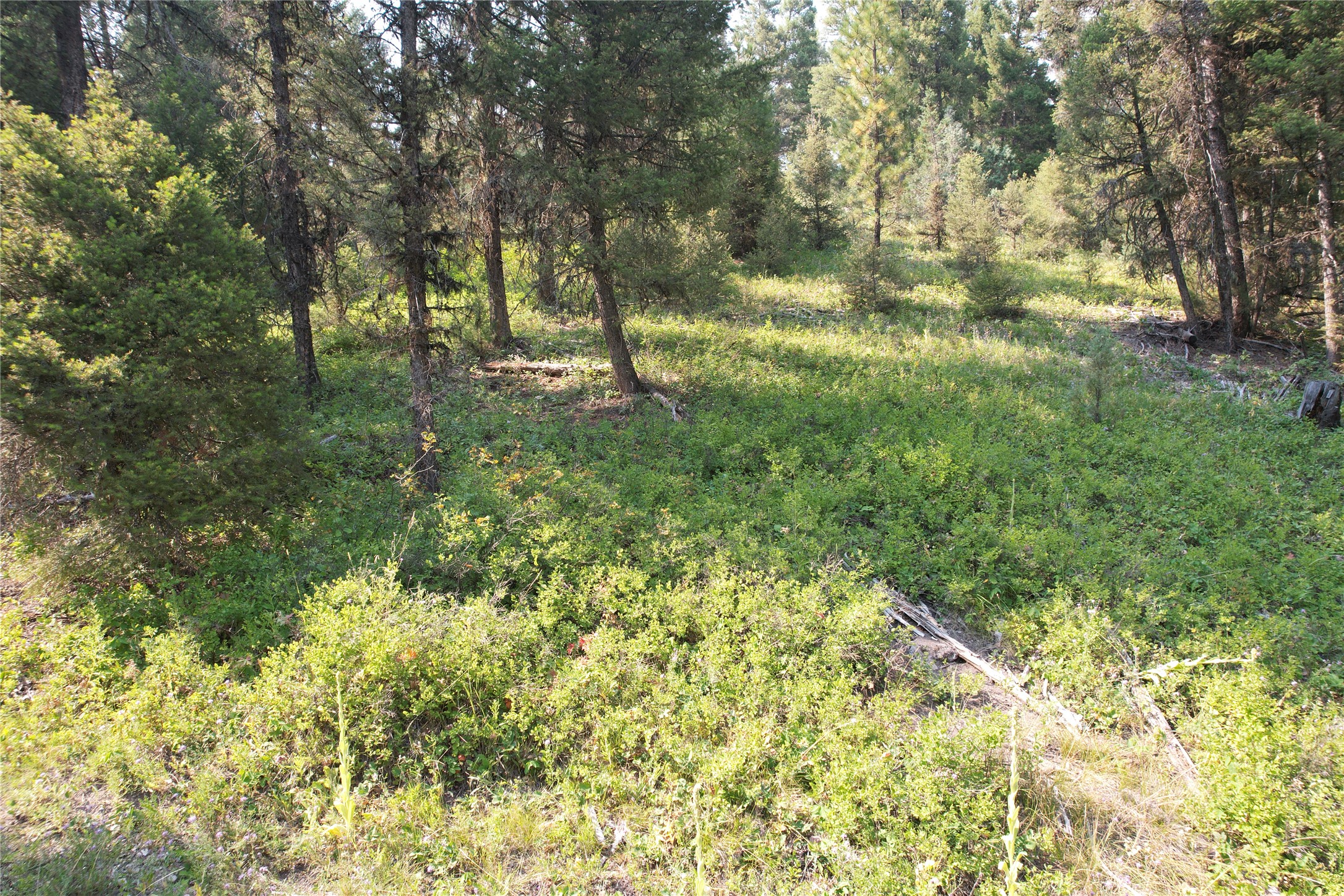 50 Juniper Ridge Lane Property Photo 77