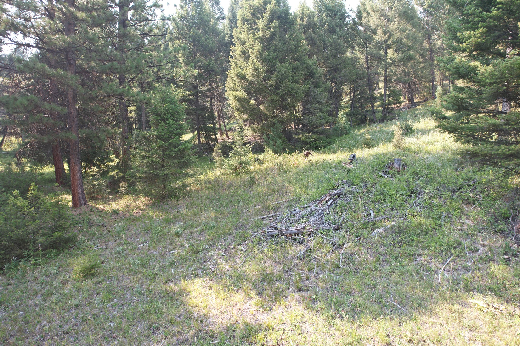 50 Juniper Ridge Lane Property Photo 80