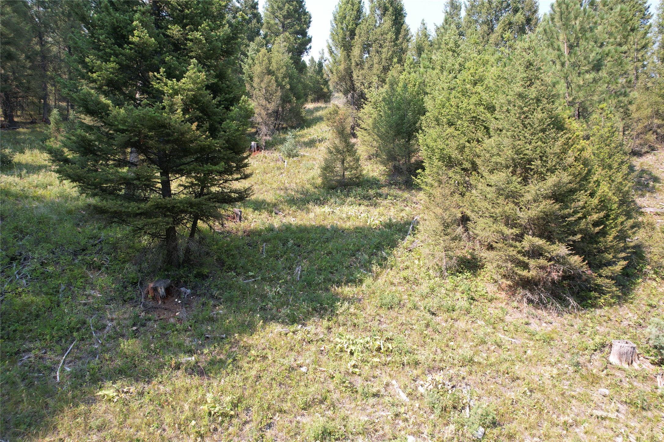 50 Juniper Ridge Lane Property Photo 81