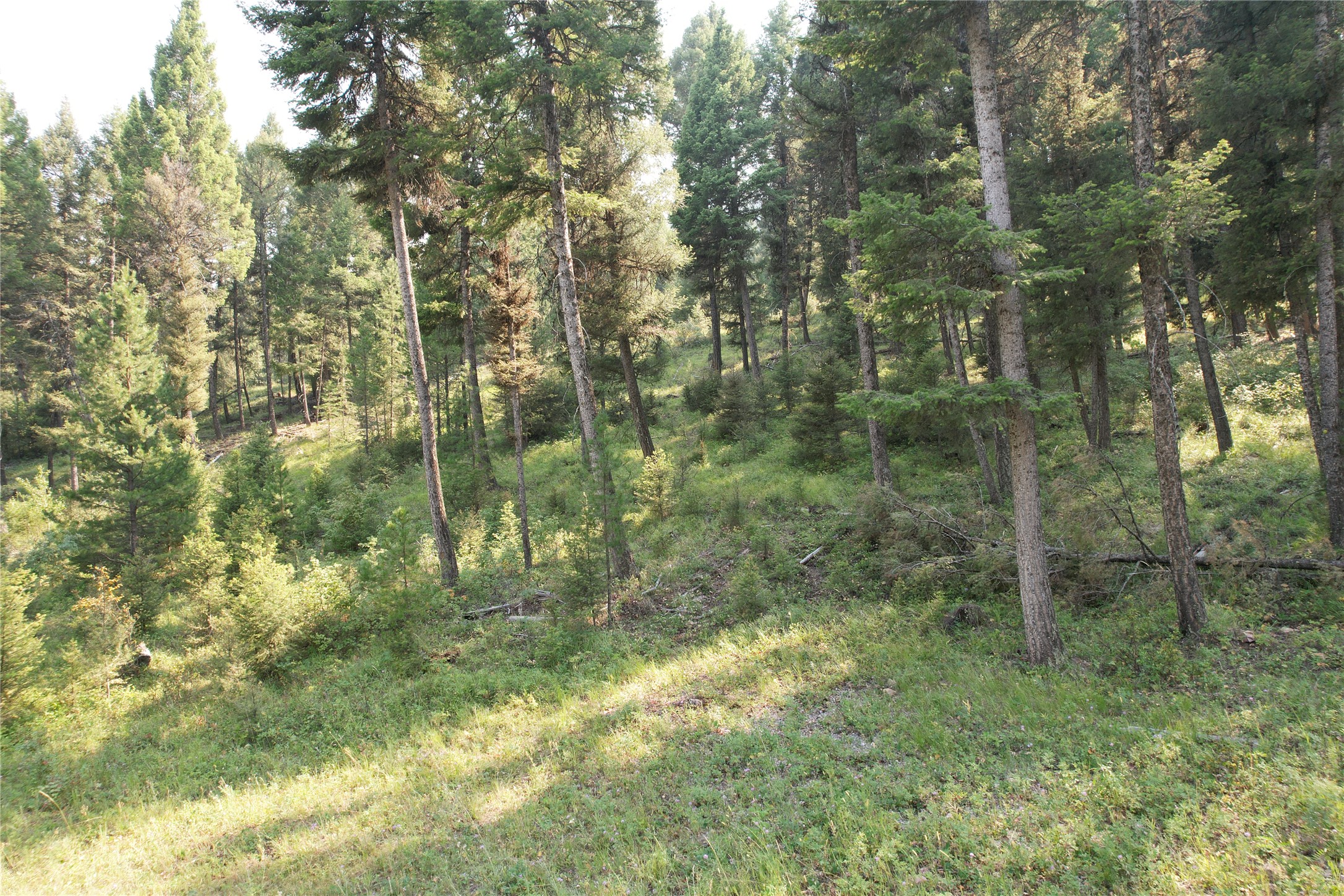 50 Juniper Ridge Lane Property Photo 83