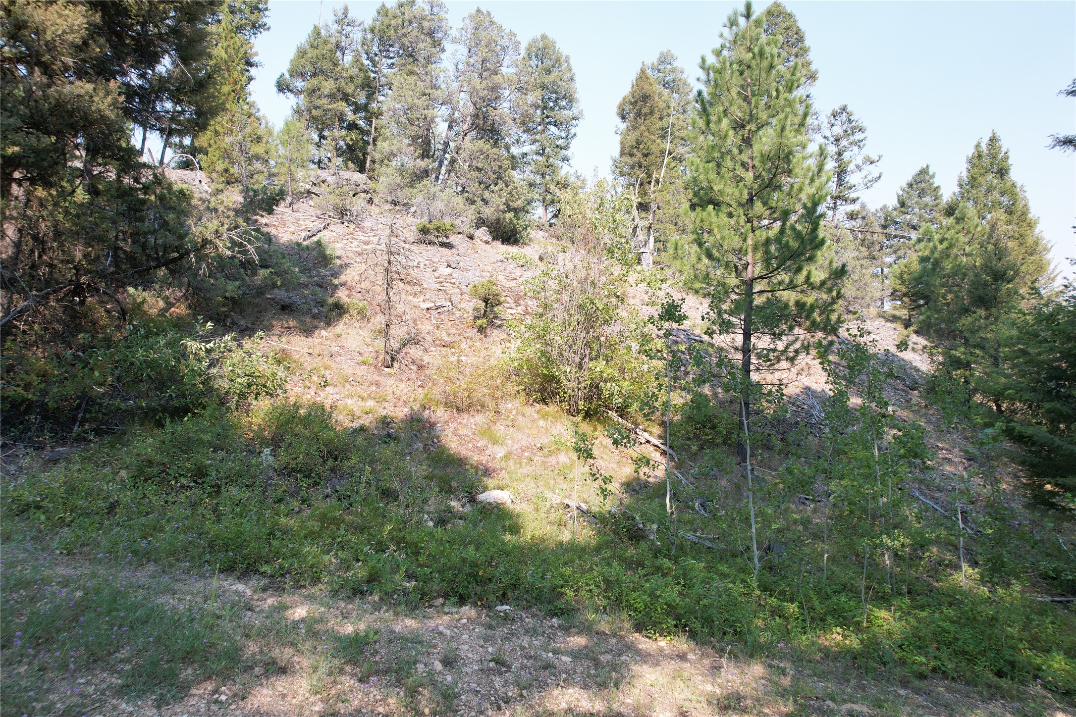 50 Juniper Ridge Lane Property Photo 84