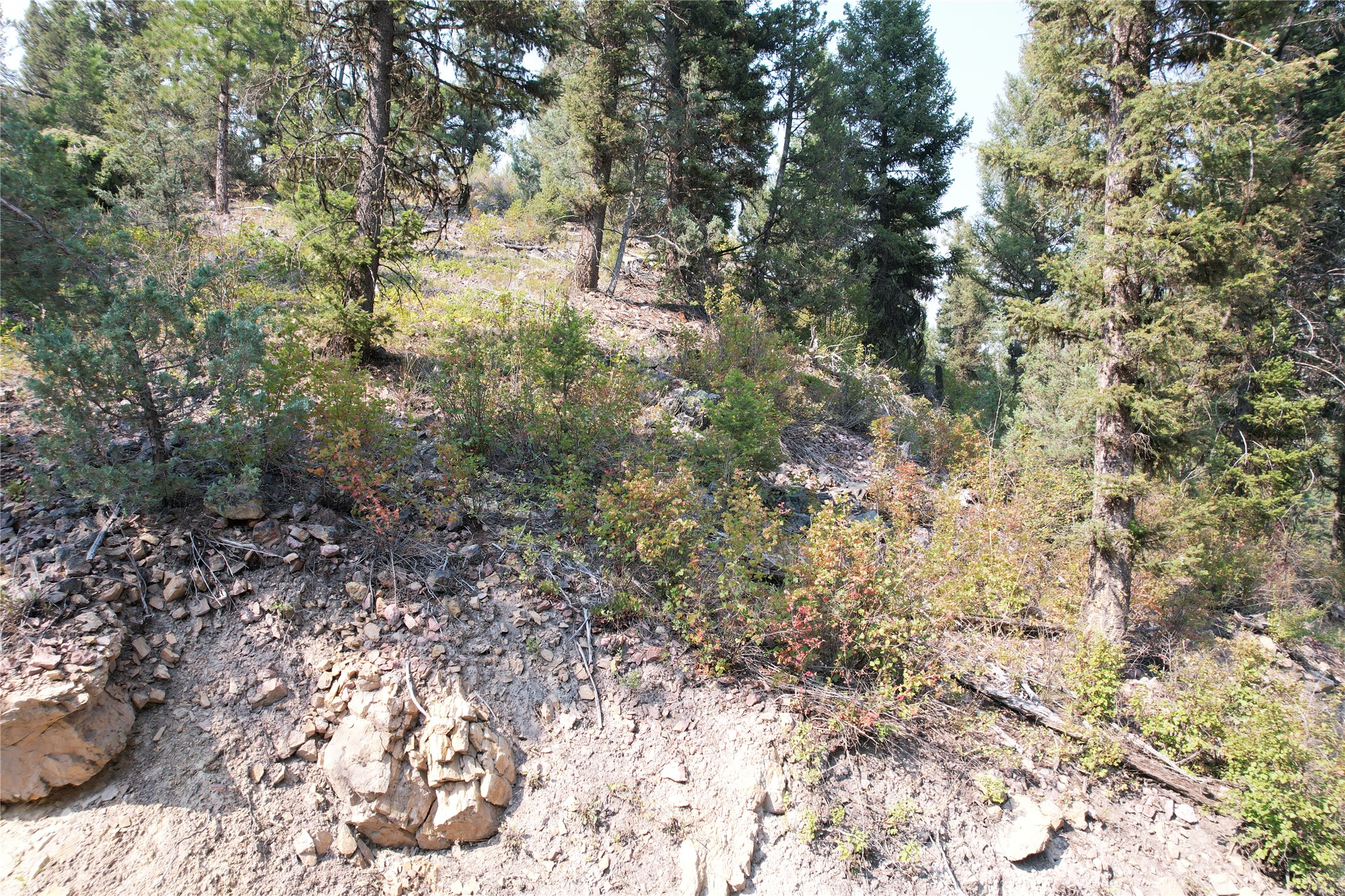 50 Juniper Ridge Lane Property Photo 85
