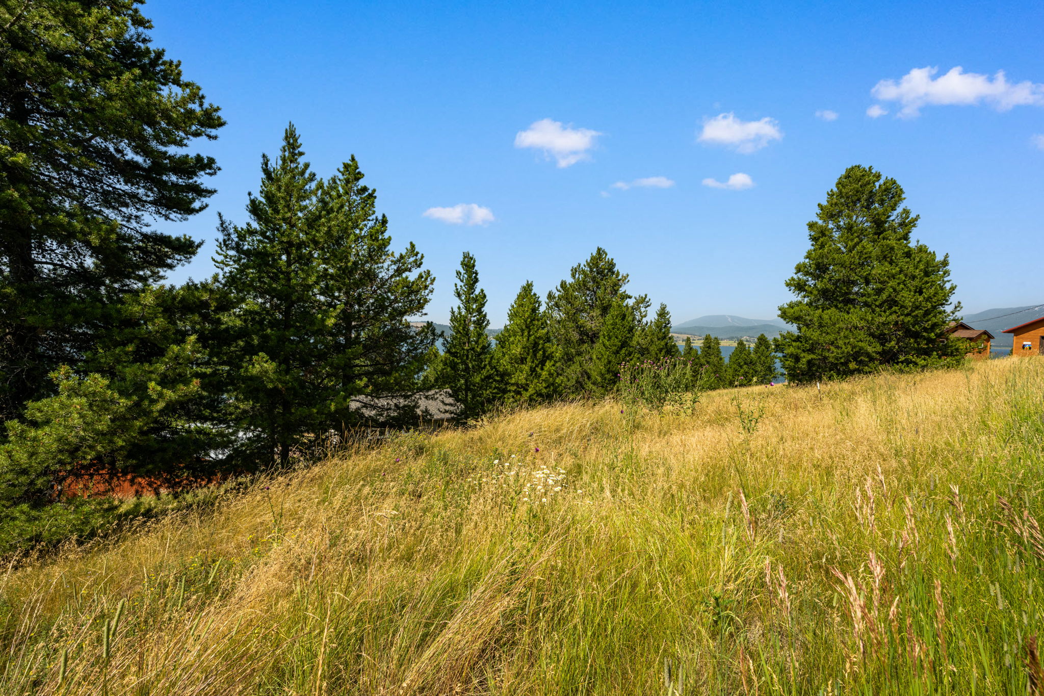20 Scenic Lane Property Photo 39