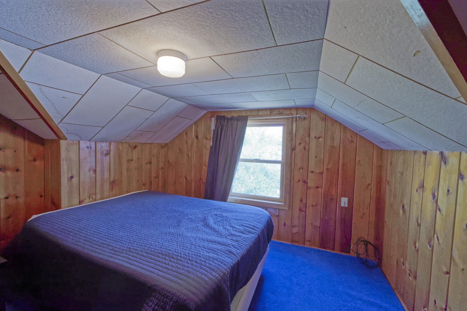 935 Hornet Street Property Photo 15