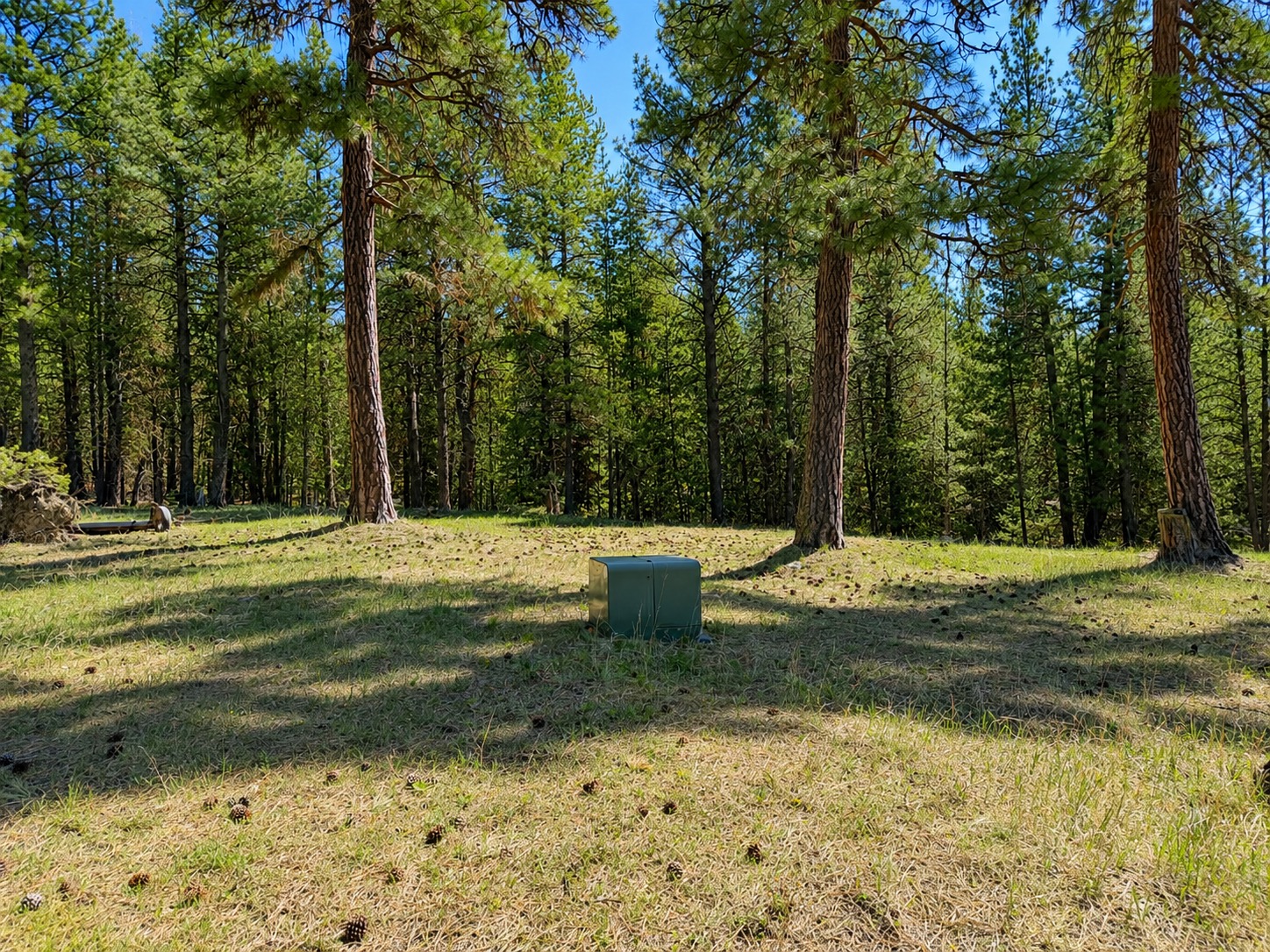 2890 Lower Lost Prairie Road Property Photo 4