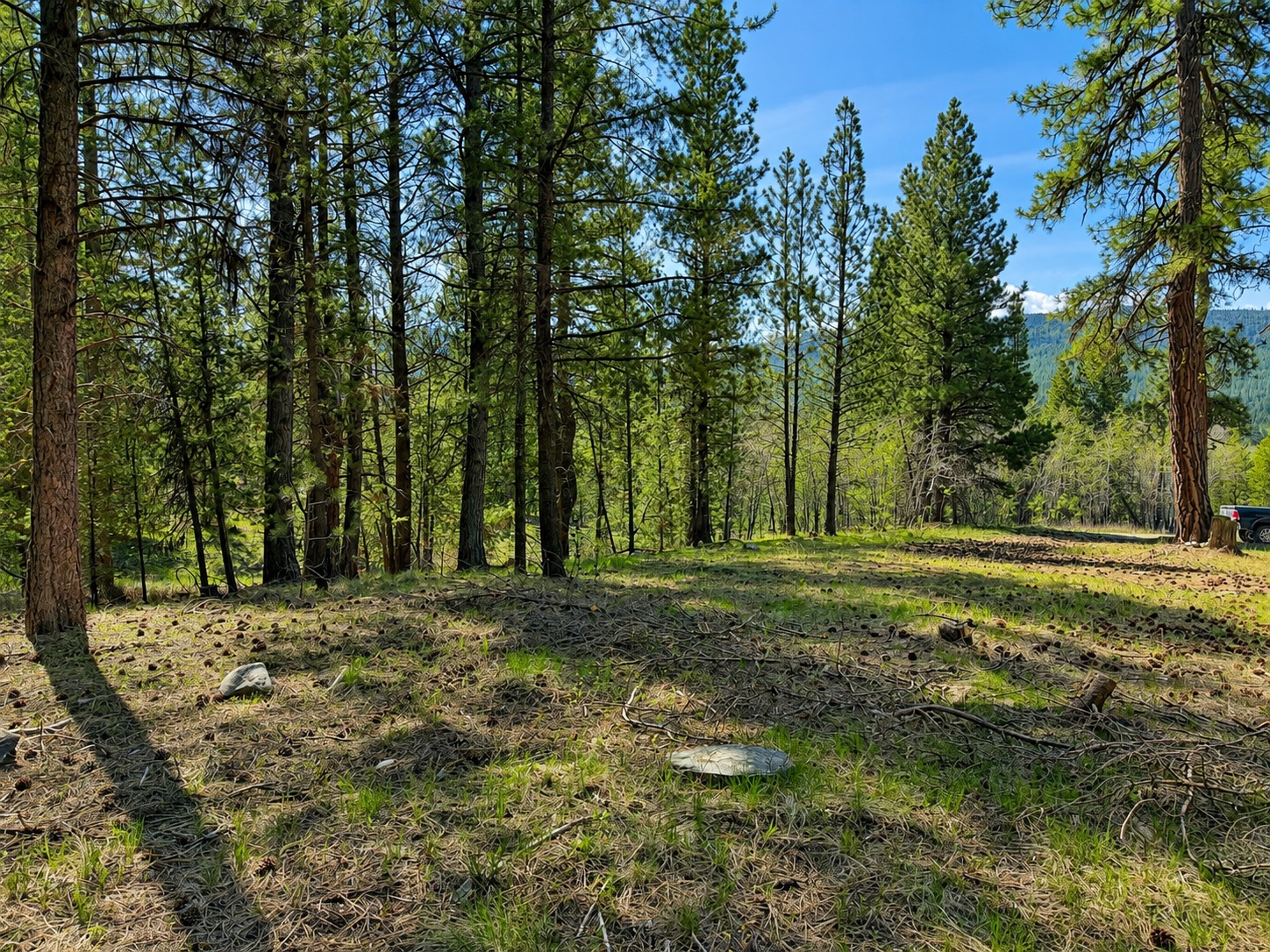 2890 Lower Lost Prairie Road Property Photo 6