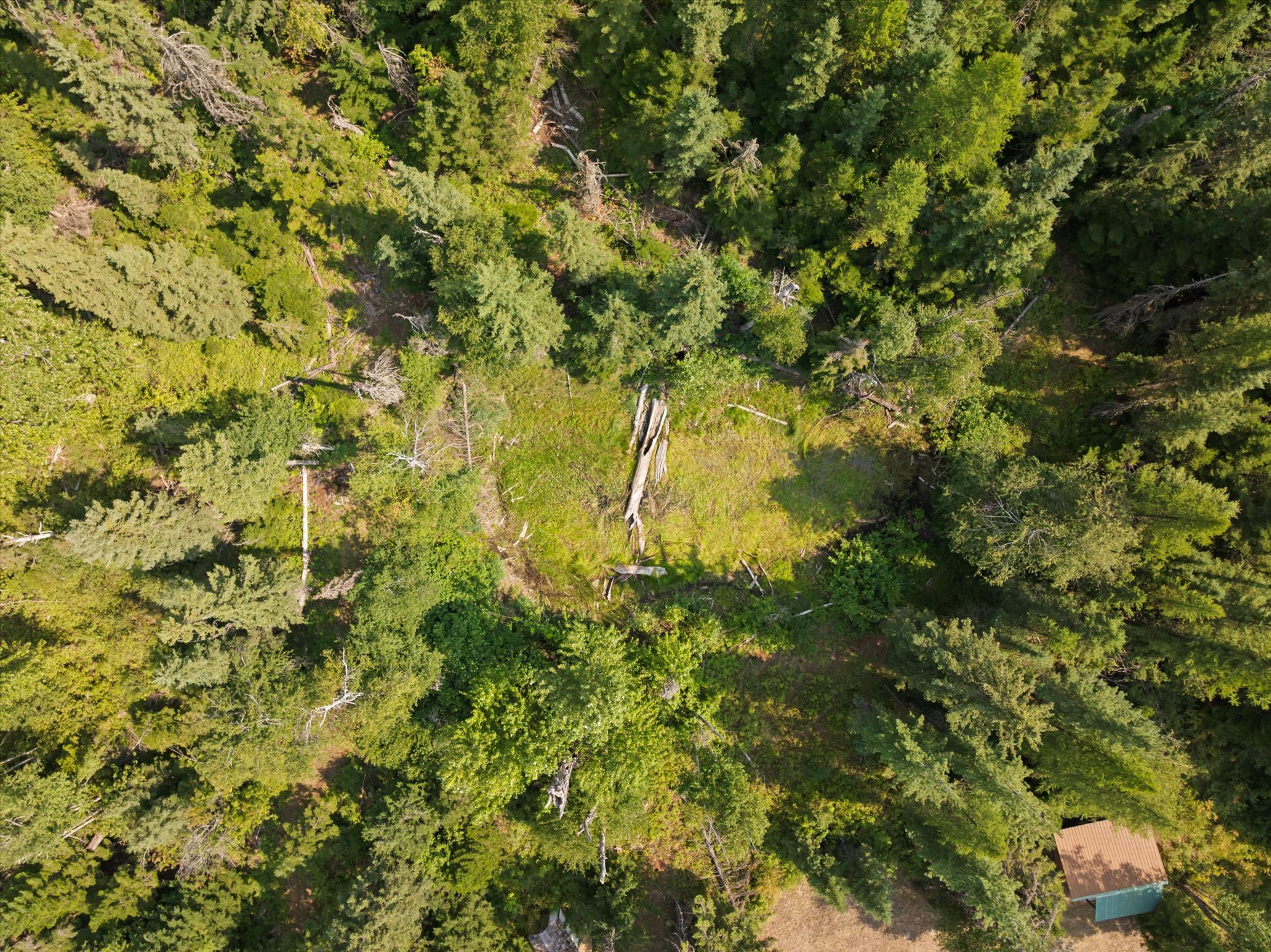 150 & 36 Turkey Trot Trail Property Photo 35