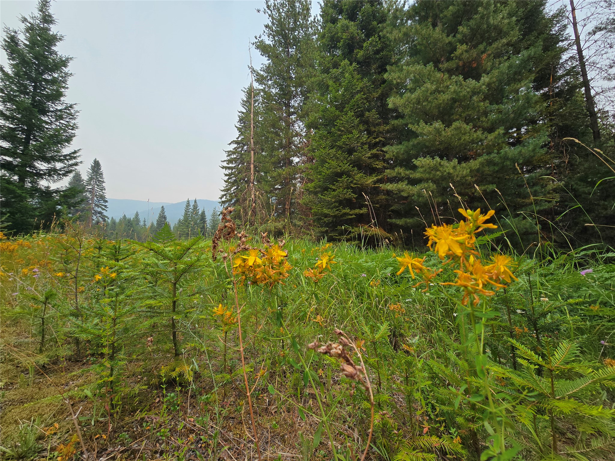 12941 Yaak River Road Property Photo 1