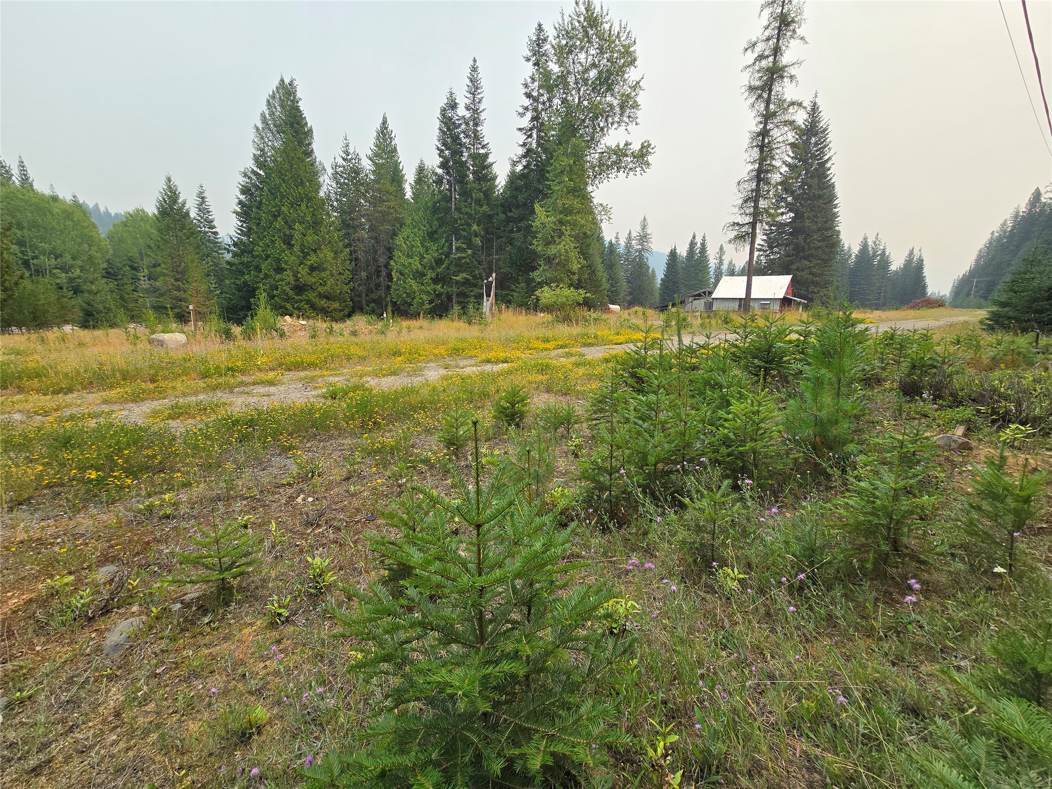 12941 Yaak River Road Property Photo 5