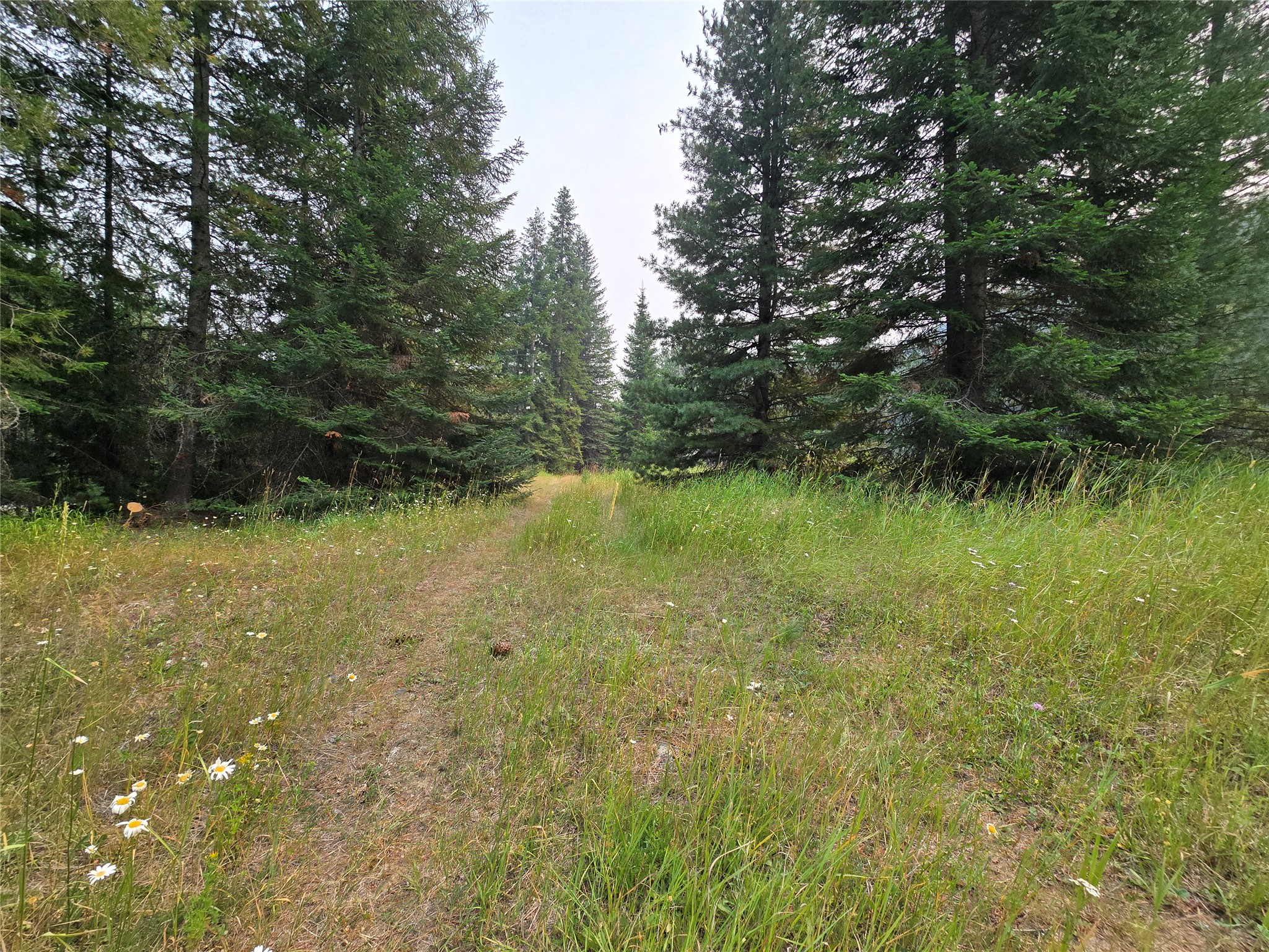 12941 Yaak River Road Property Photo 9