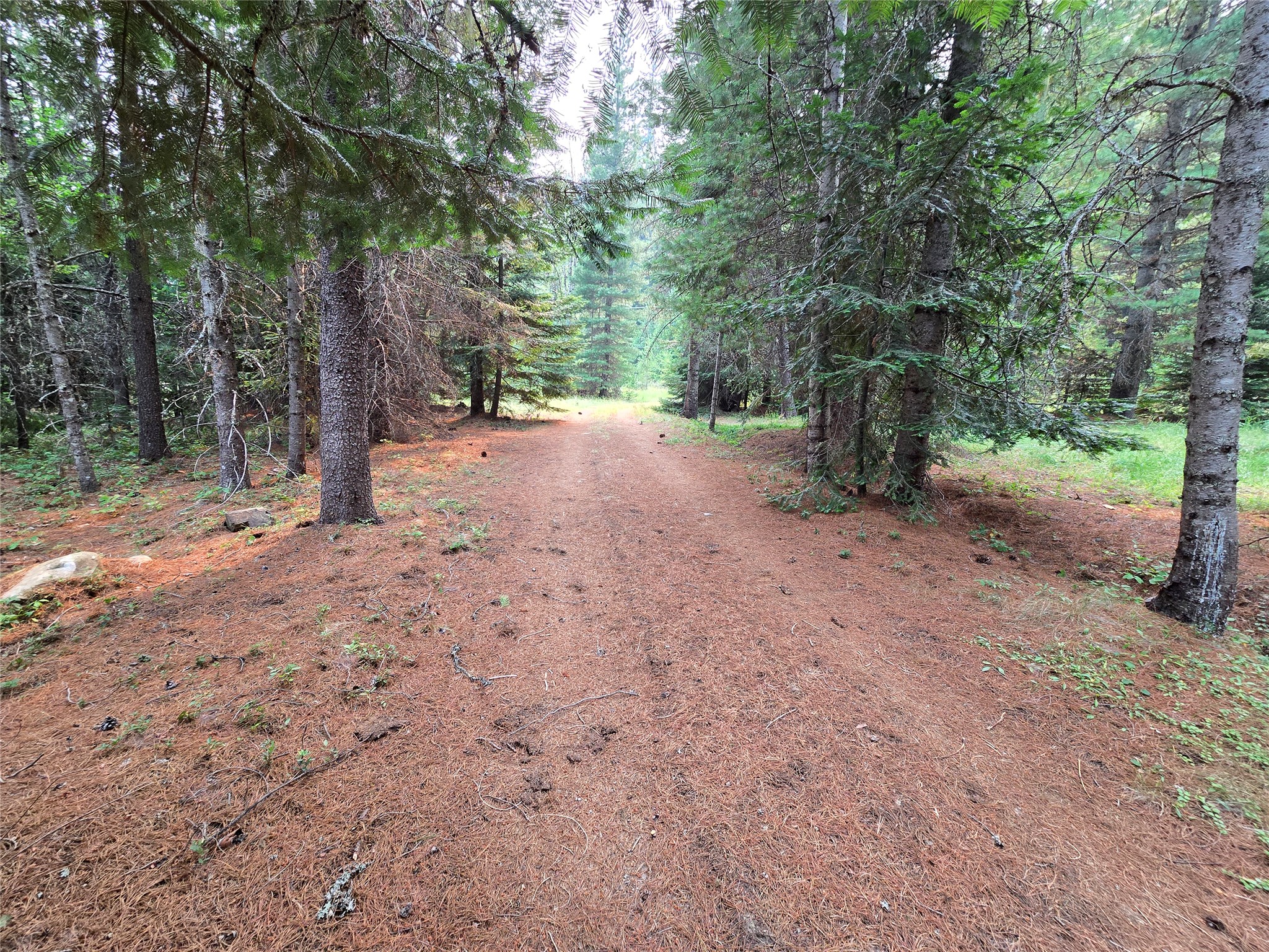 12941 Yaak River Road Property Photo 11