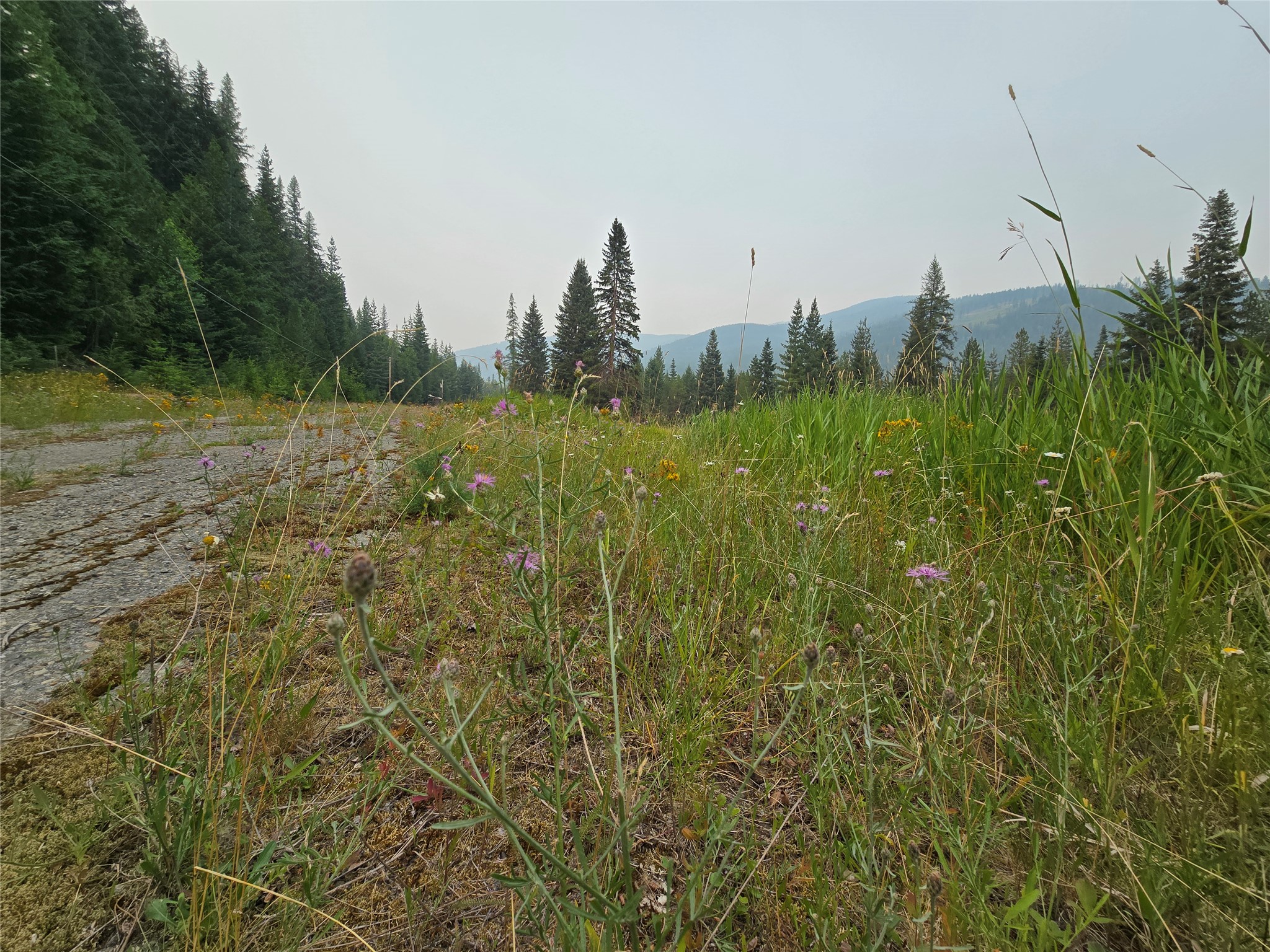 12941 Yaak River Road Property Photo 12
