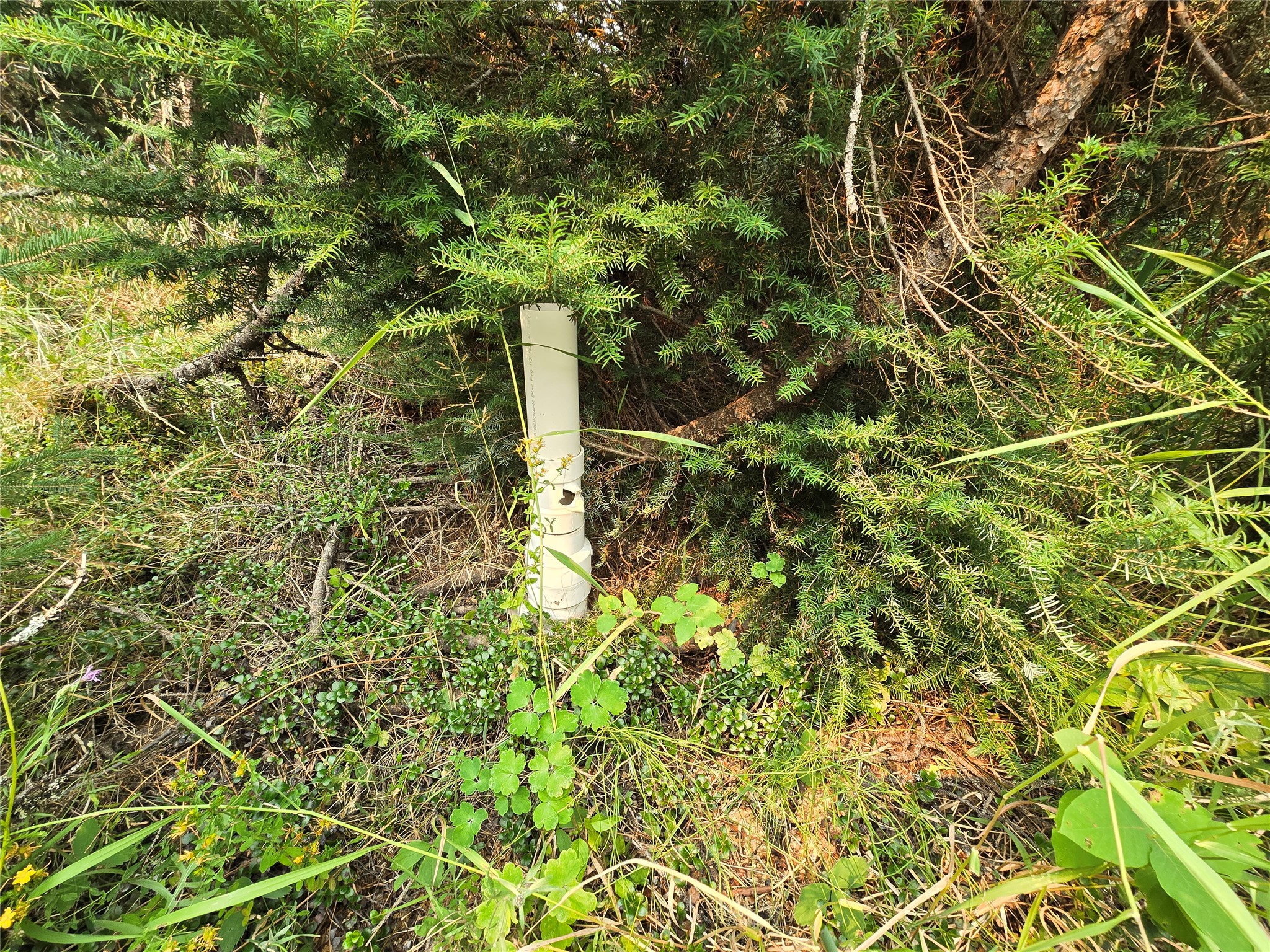 12941 Yaak River Road Property Photo 13