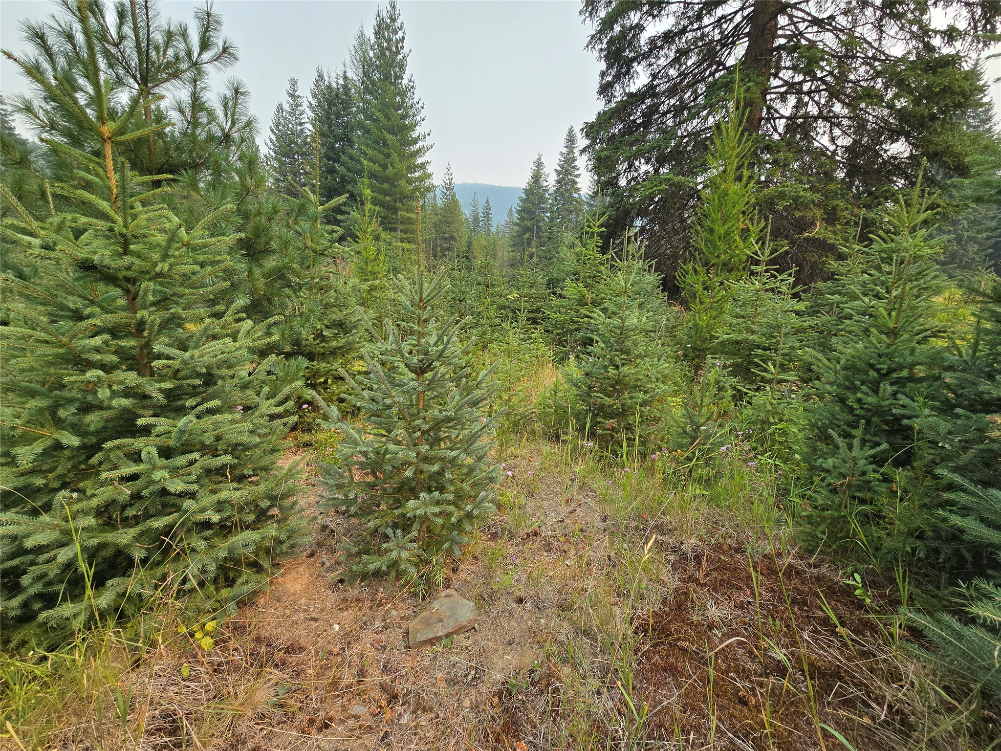 12941 Yaak River Road Property Photo 14