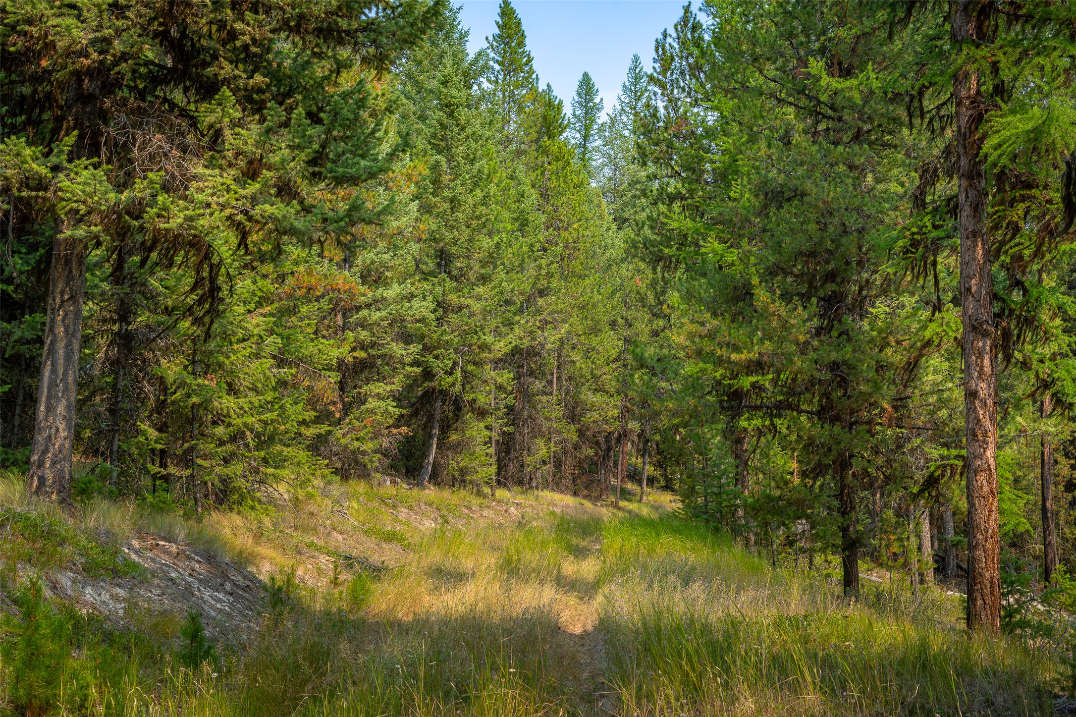 9653 Us Highway 2 W Property Photo 11