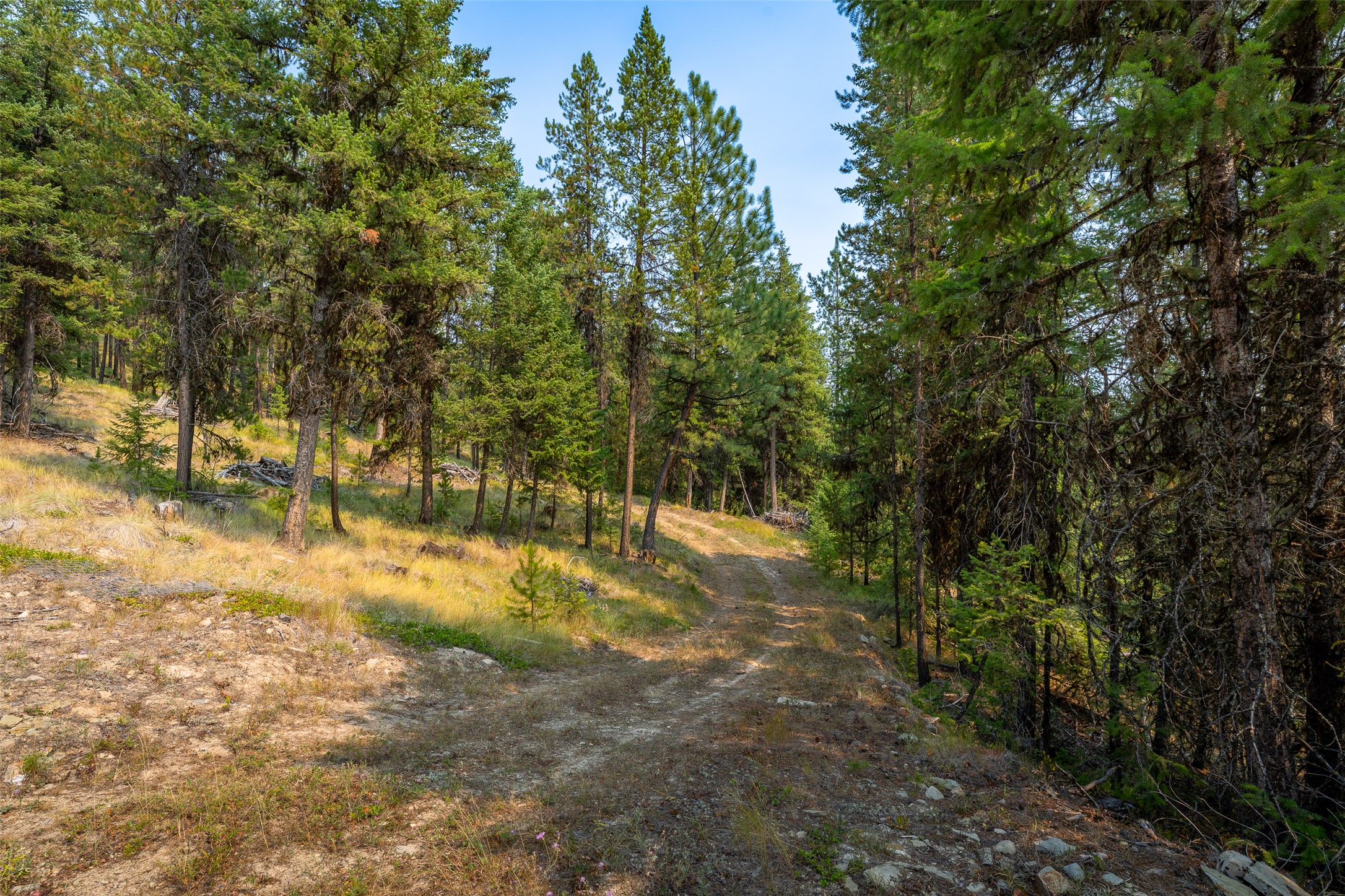 9653 Us Highway 2 W Property Photo 17