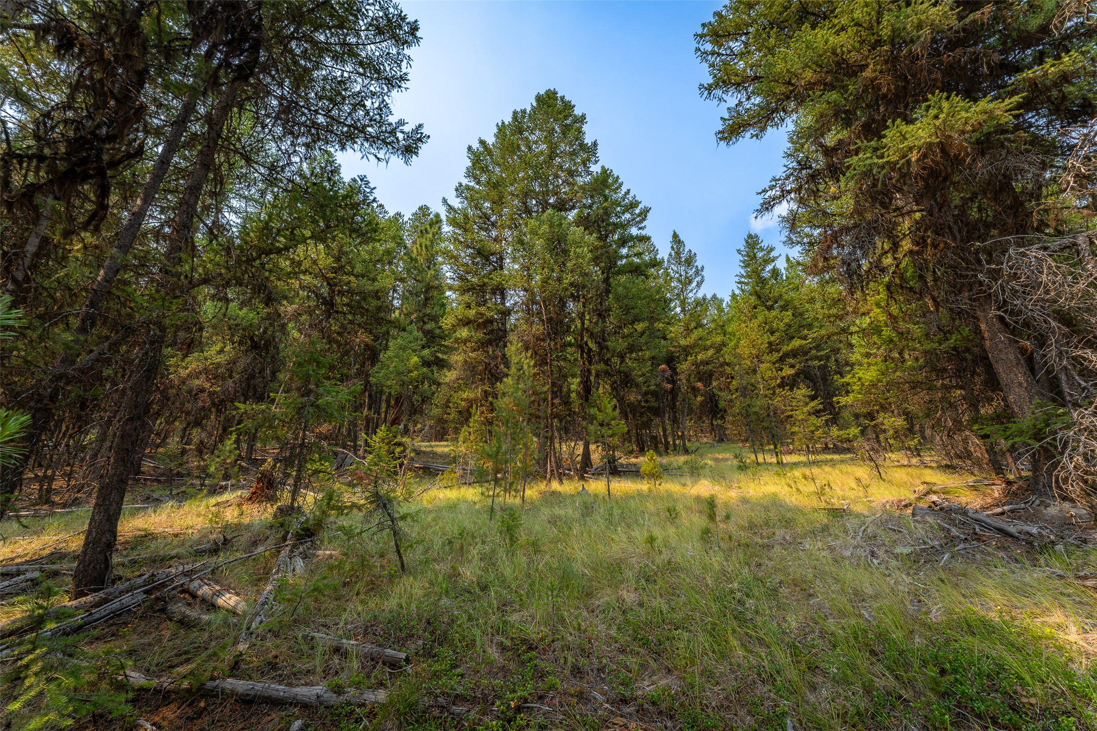 9653 Us Highway 2 W Property Photo 18