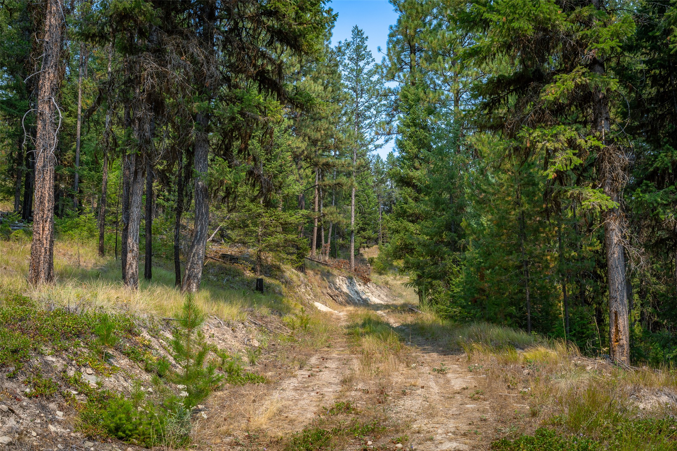 9653 Us Highway 2 W Property Photo 24
