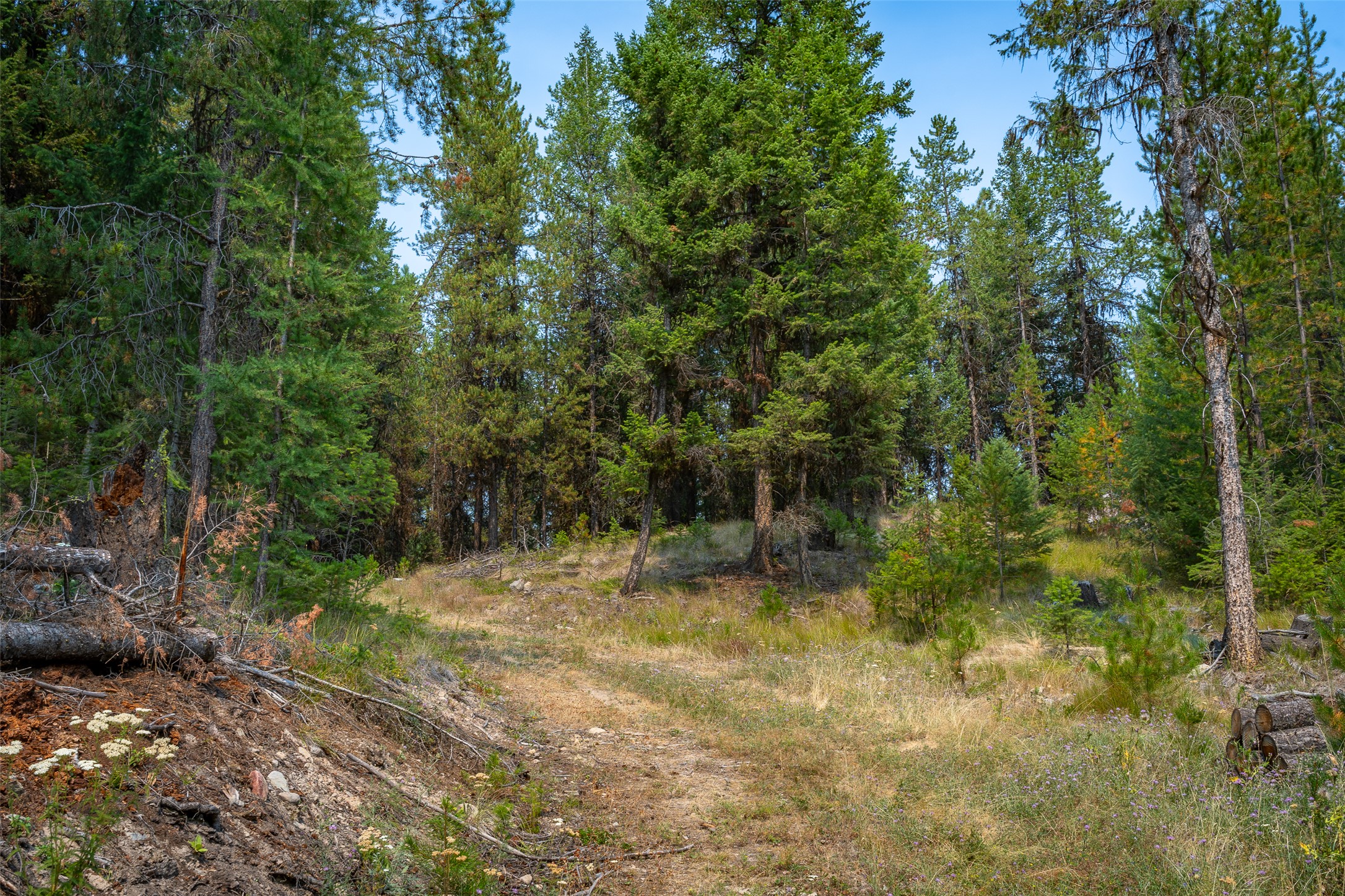 9653 Us Highway 2 W Property Photo 25