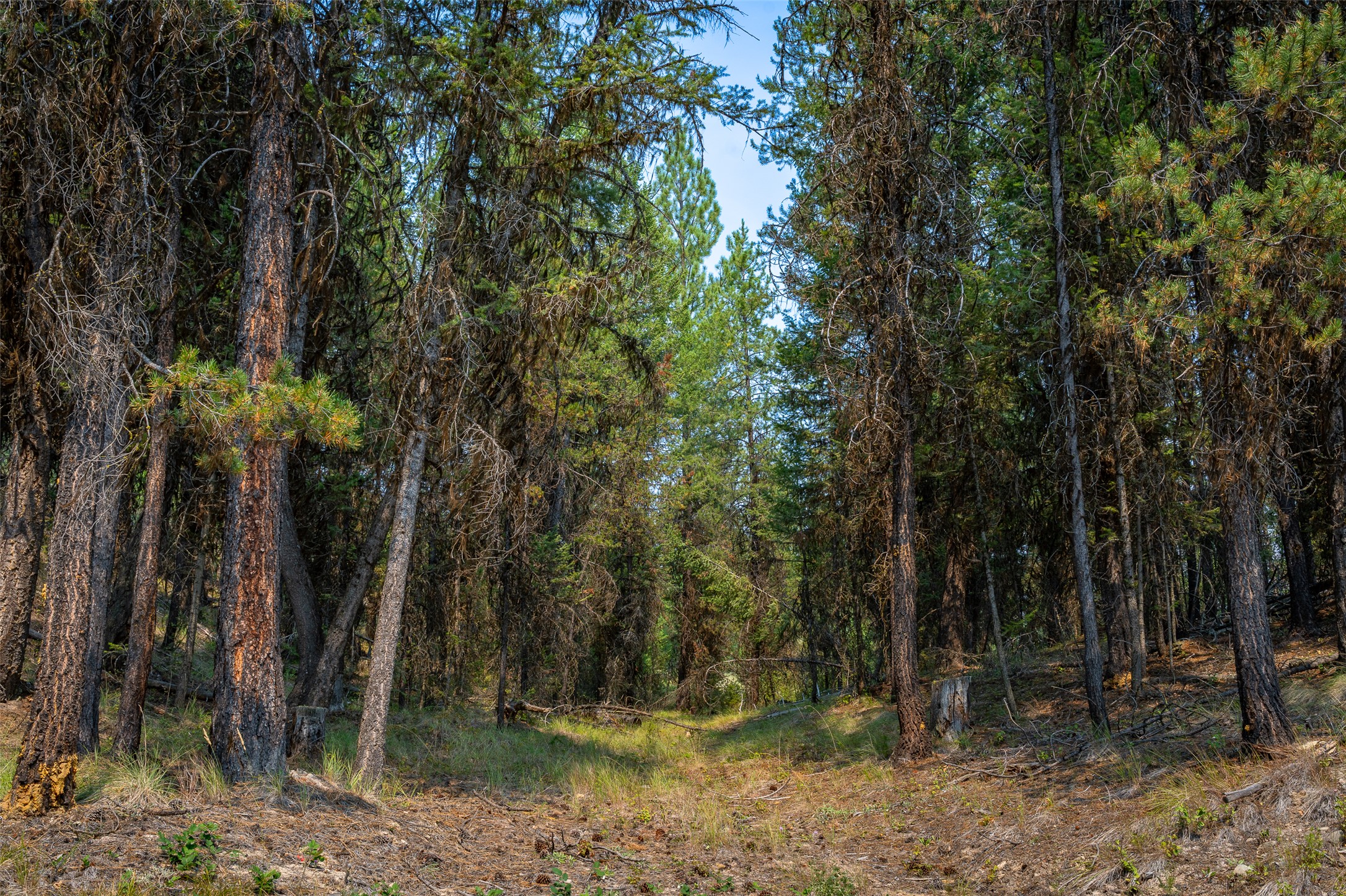 9653 Us Highway 2 W Property Photo 26