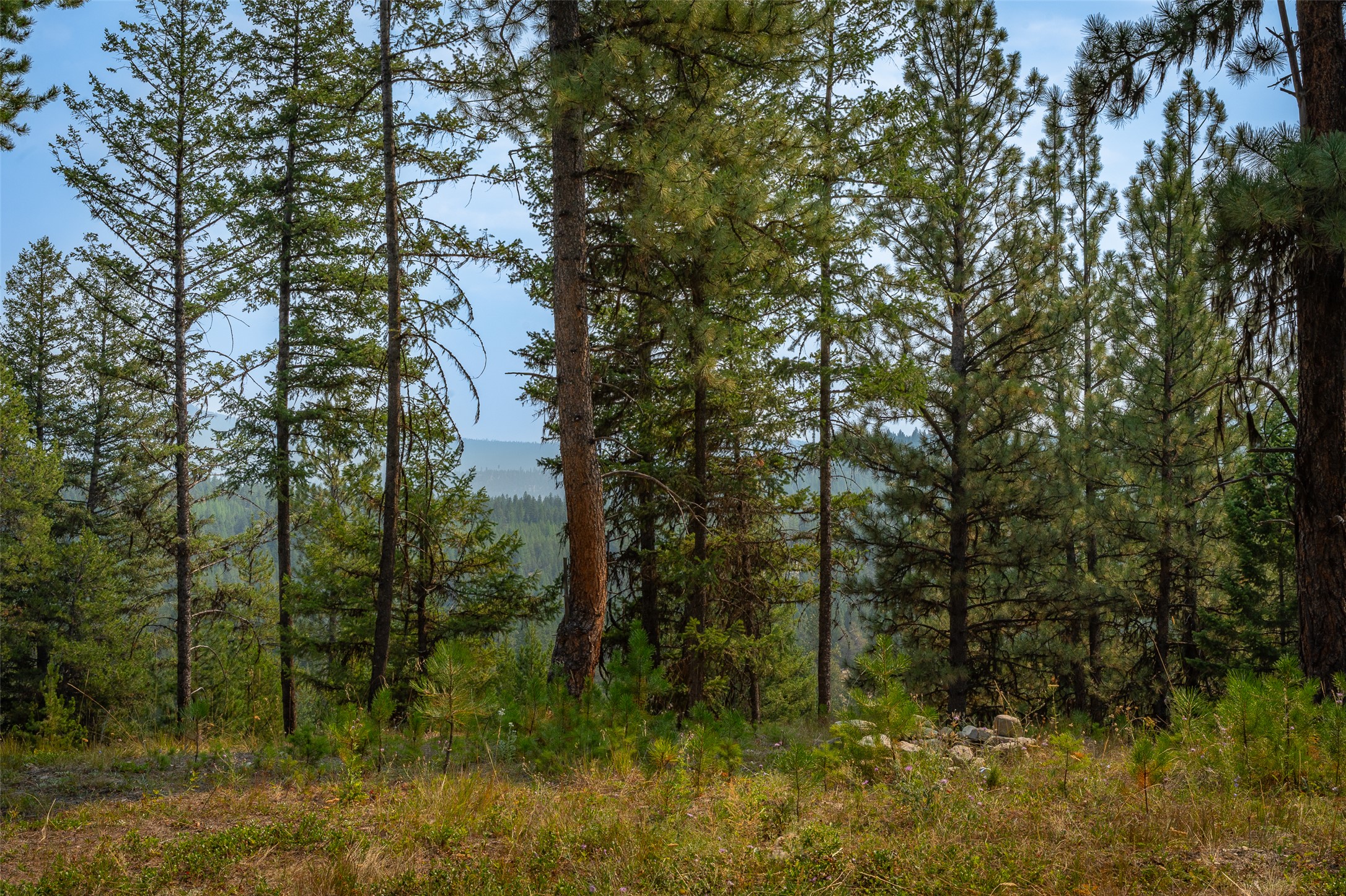 9653 Us Highway 2 W Property Photo 27