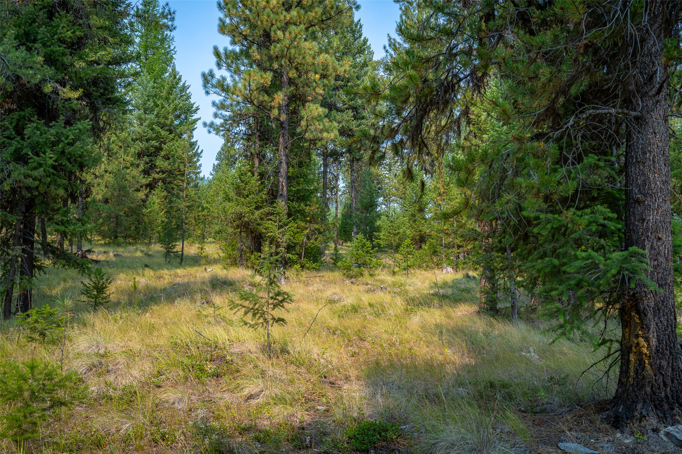 9653 Us Highway 2 W Property Photo 28