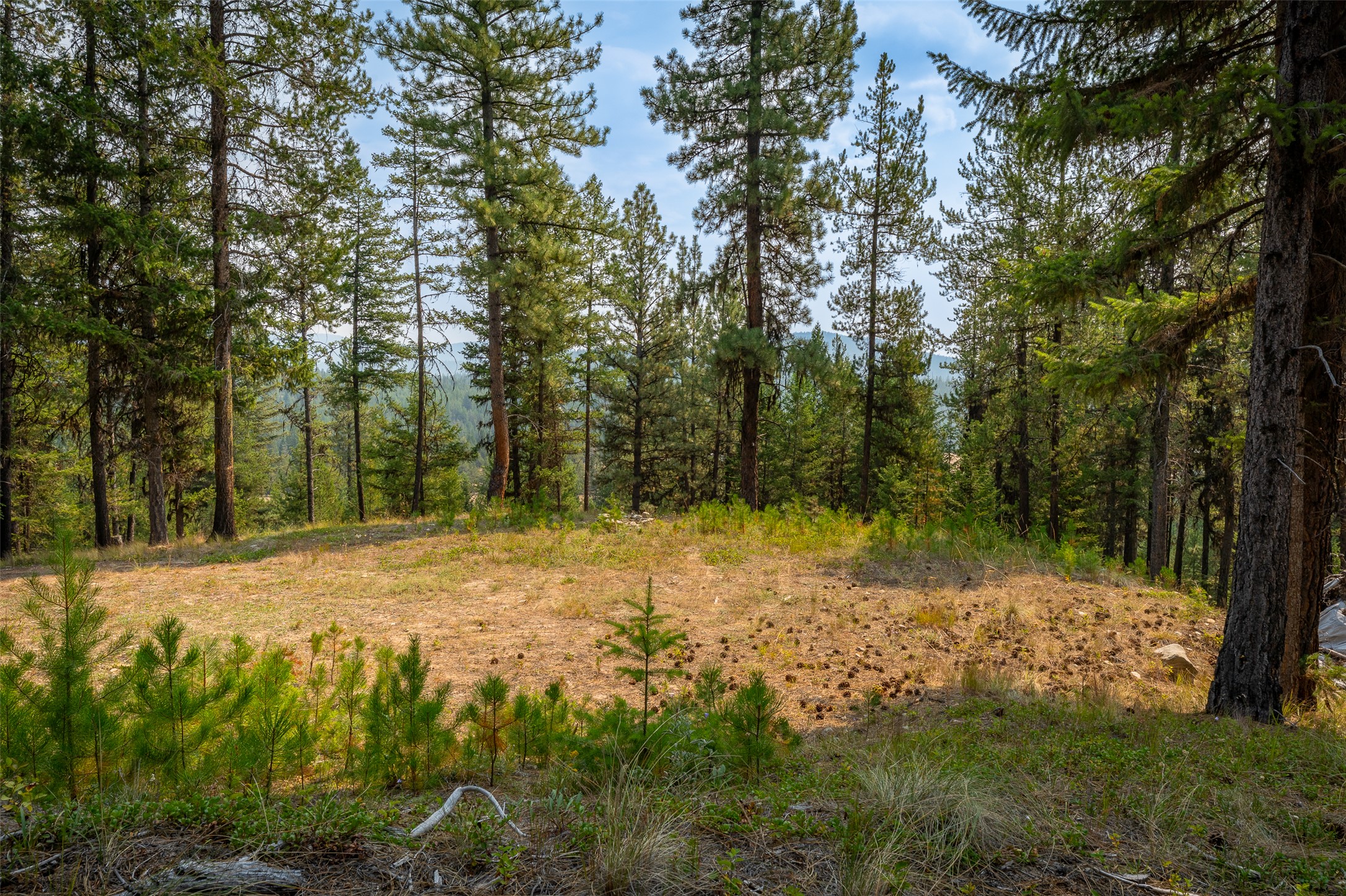 9653 Us Highway 2 W Property Photo 29
