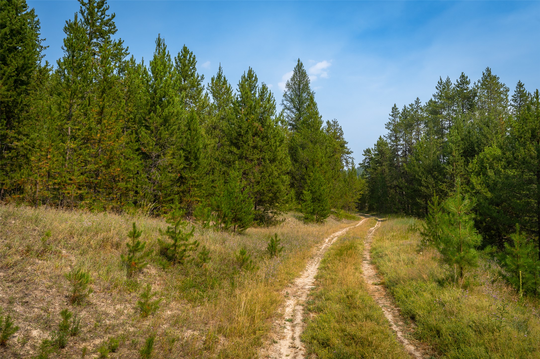 9653 Us Highway 2 W Property Photo 35
