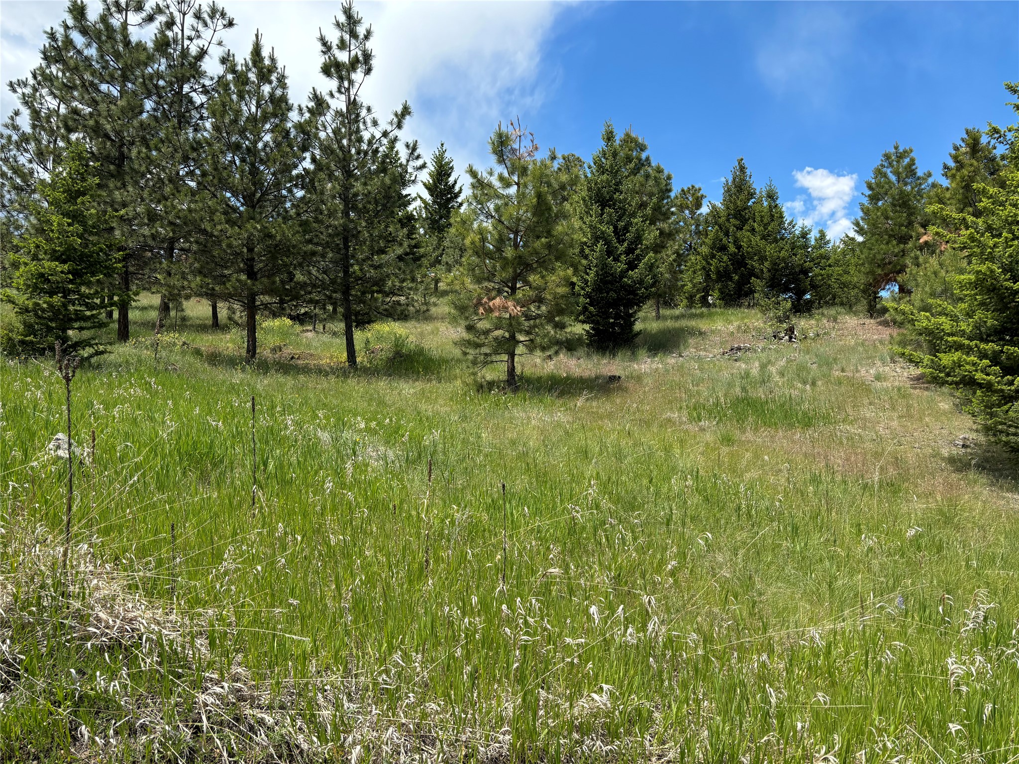 16 Mule Trail Road Property Photo 2