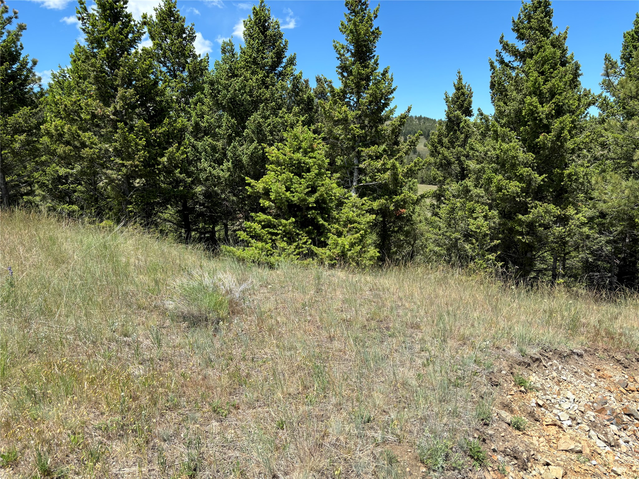 16 Mule Trail Road Property Photo 8